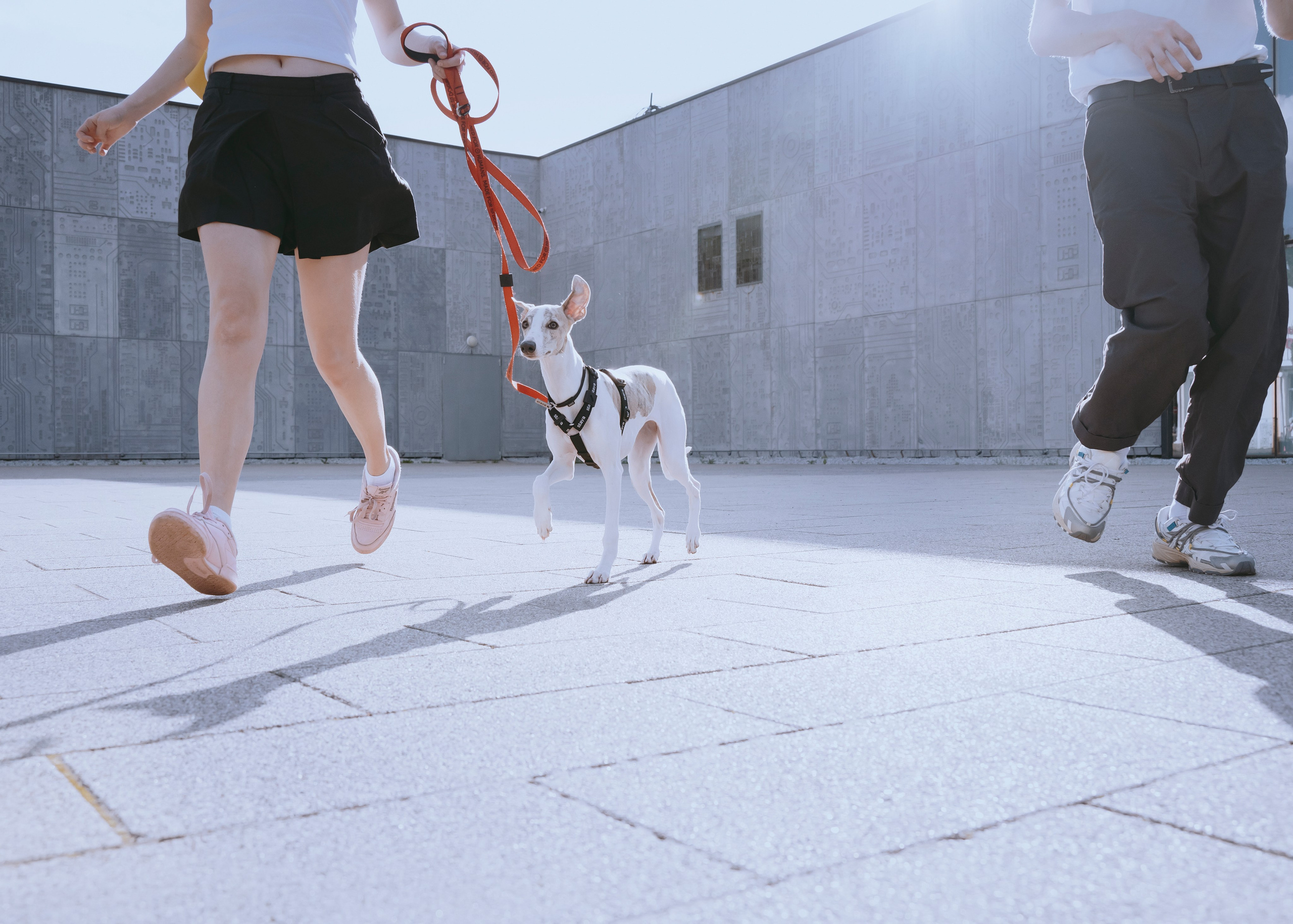 Ветка. Фотограф- анималист Александра Матвеева