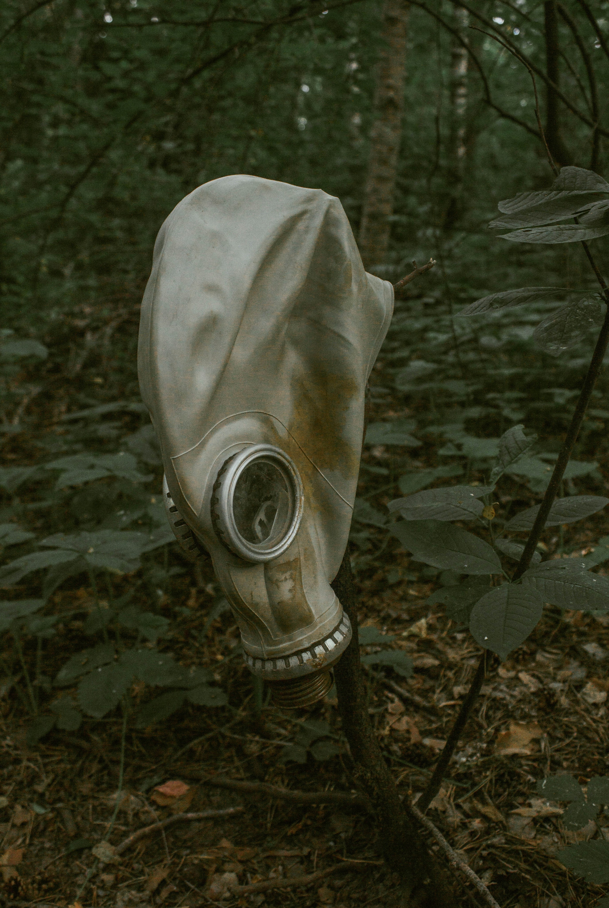 «Без названия»