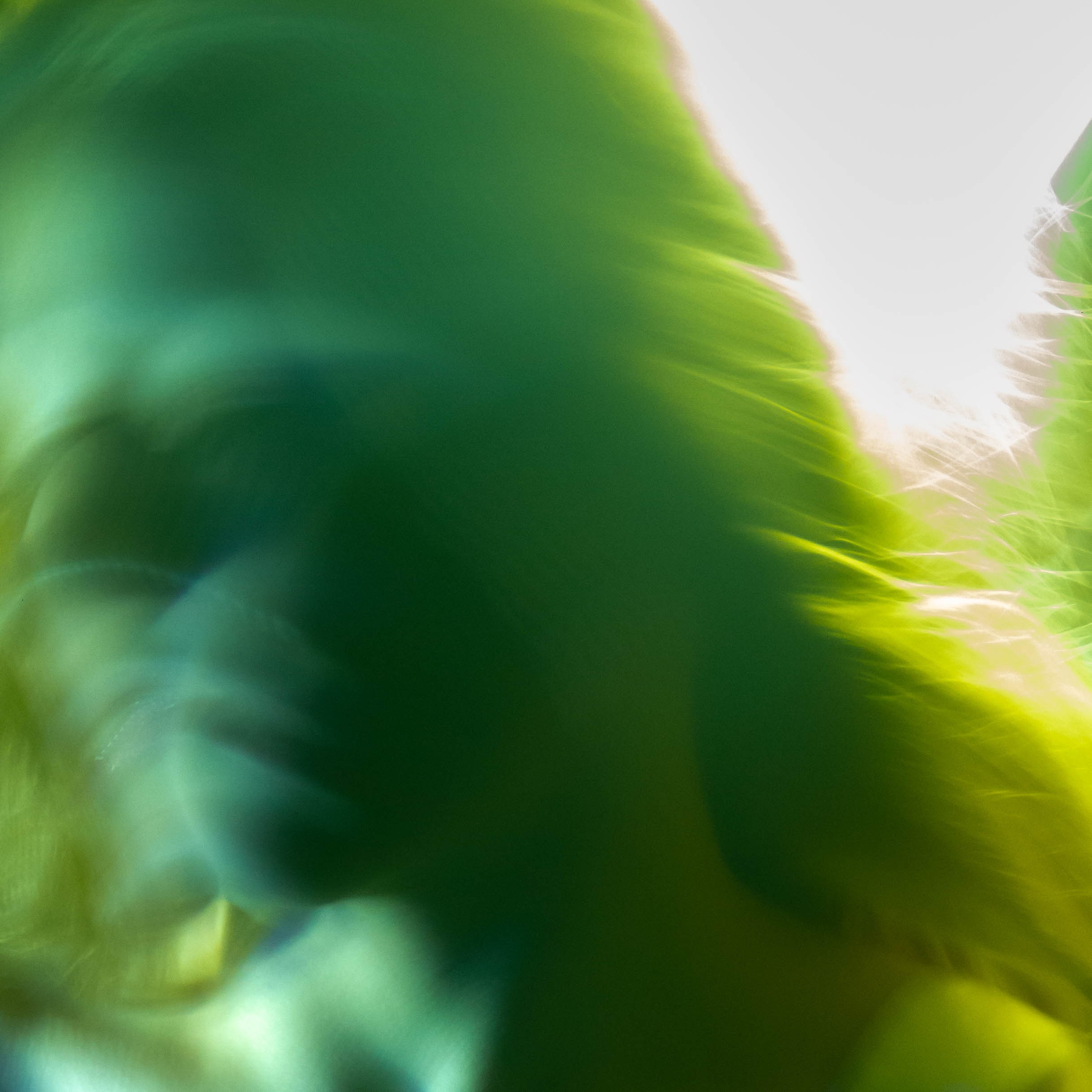 Низкая выдержка