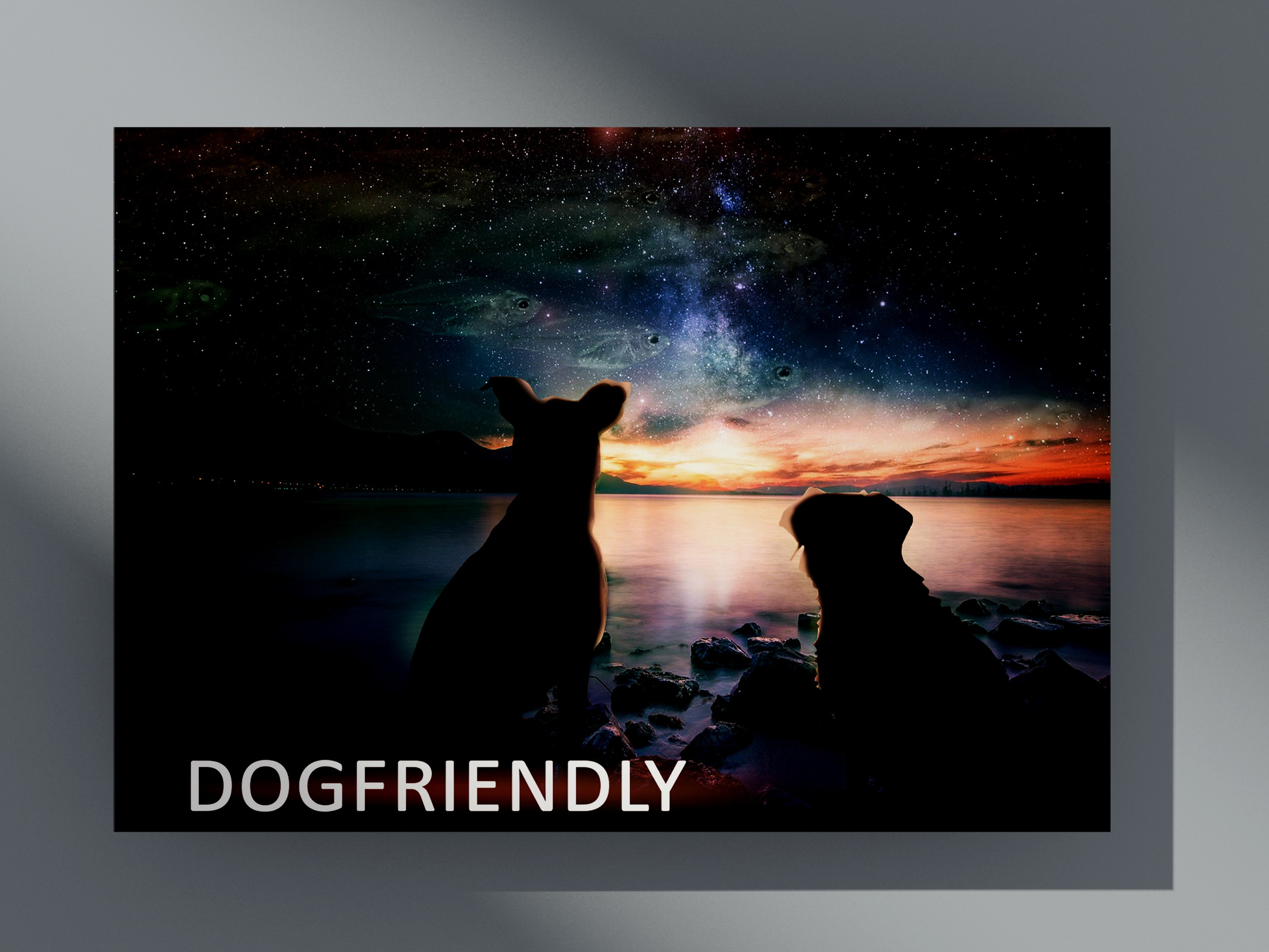 Постеры и плакаты. Олеся Бакулина, графический дизайнер, иллюстратор