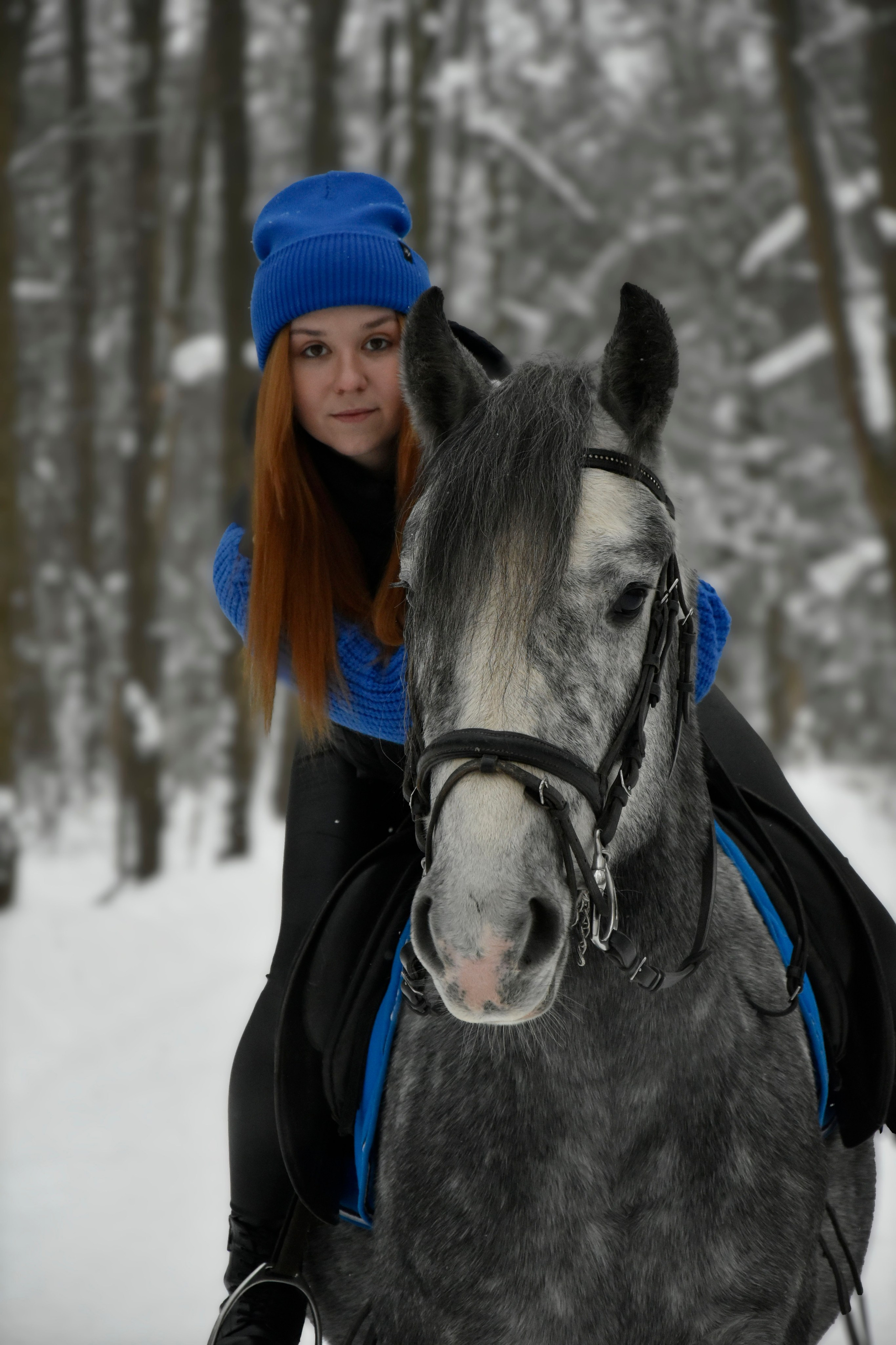 Владислава и Хантер. Фотосессия. Конный фотограф Москва