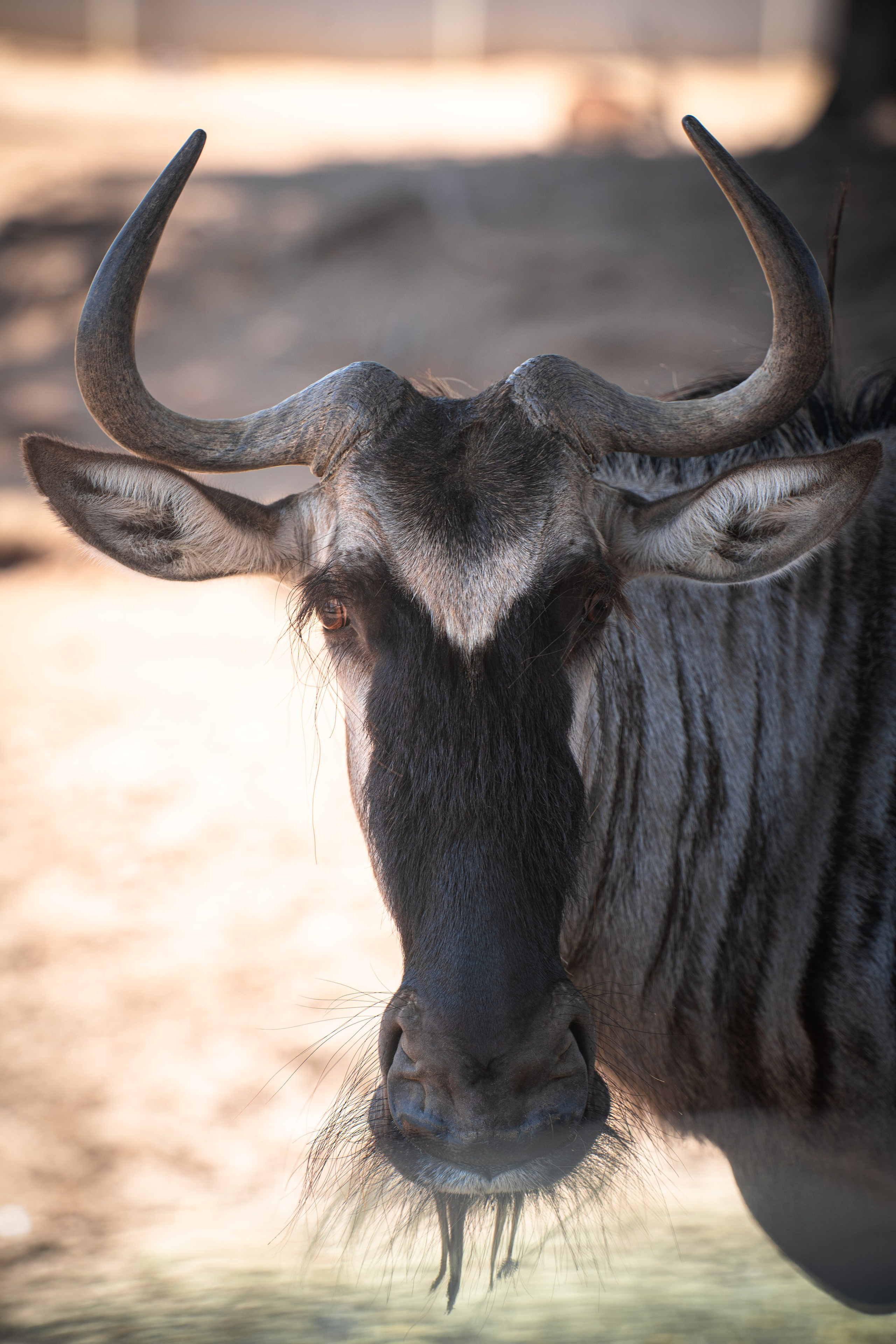 RAMAT GAN NATIONAL PARK. Семейный и travel-фотограф из Израиля