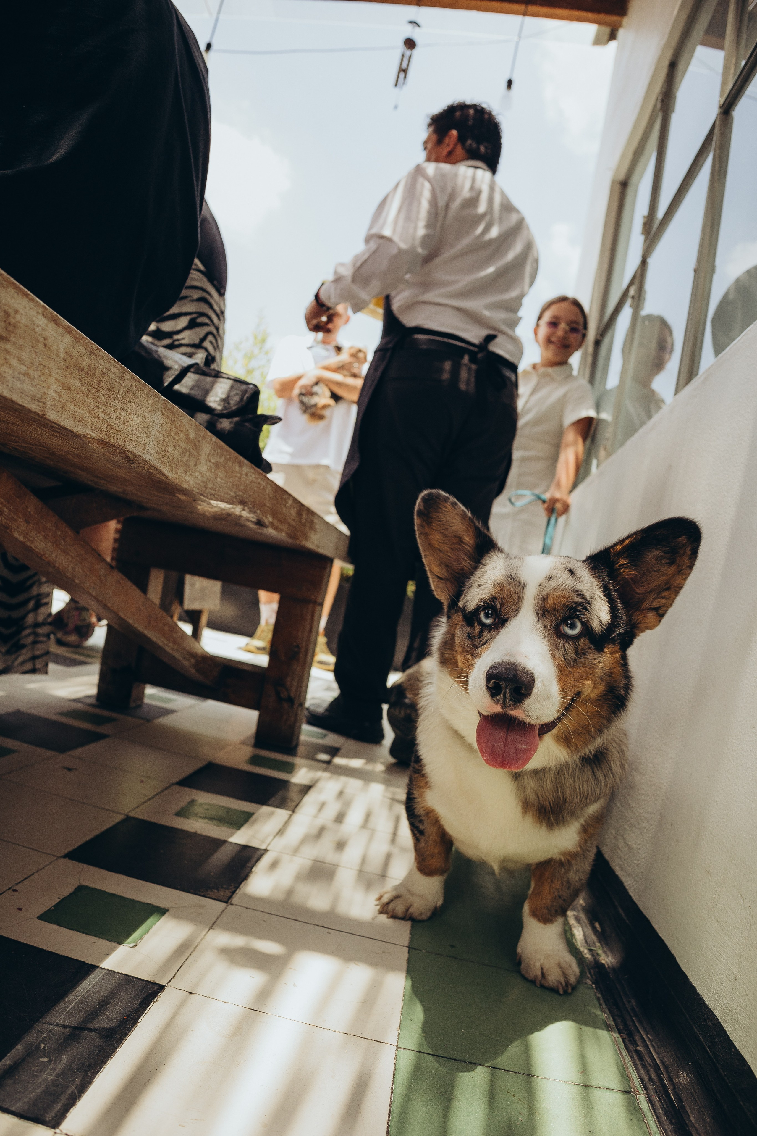 Office inauguration in Mexico City BetBoom. Irina Krokhaleva. Family & couple photographer in Yekaterinburg, Russia
