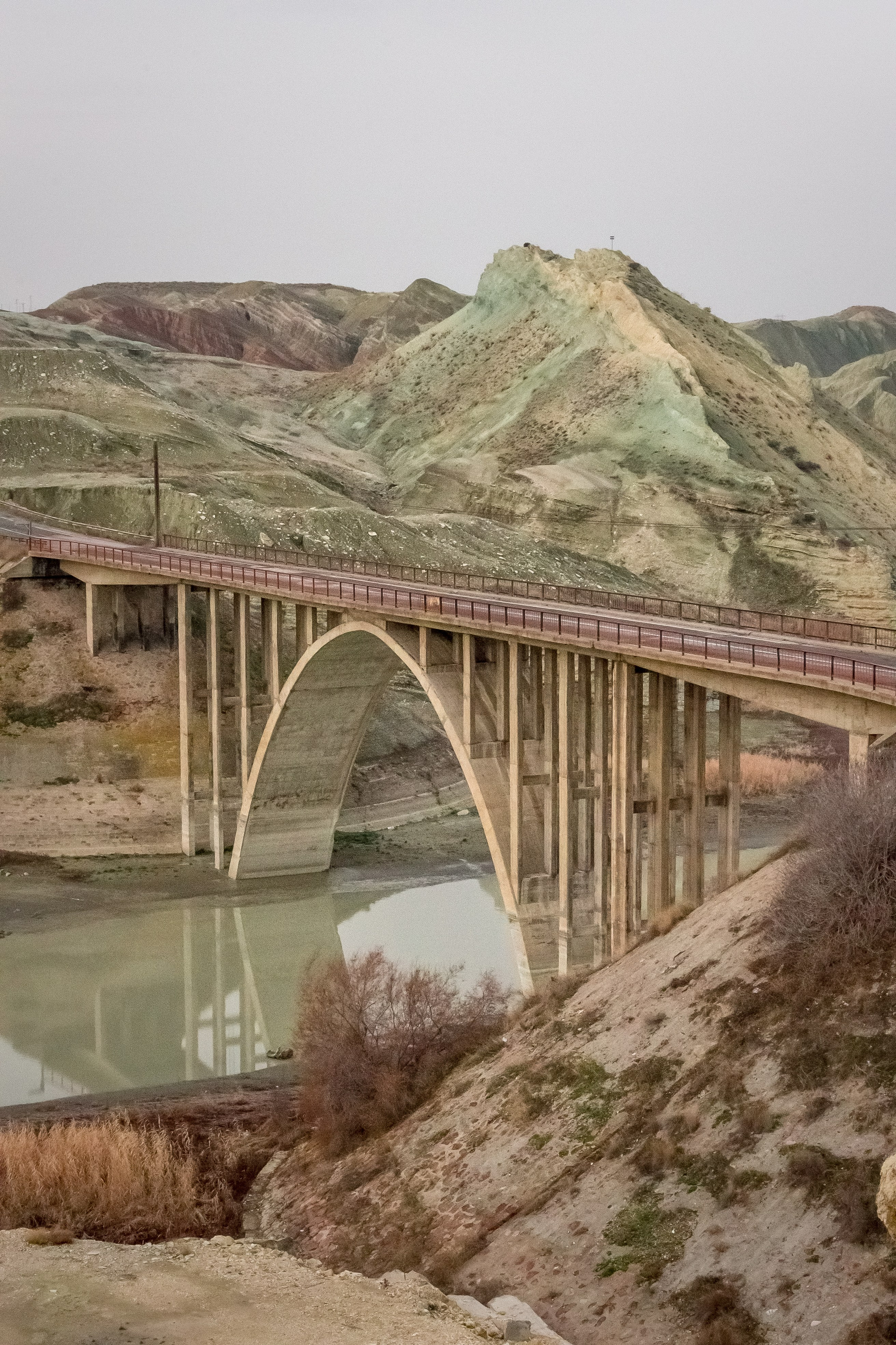 Турция, Птичий заповедник Наллихан. Юля Дэй • Фотограф, Санкт-Петербург