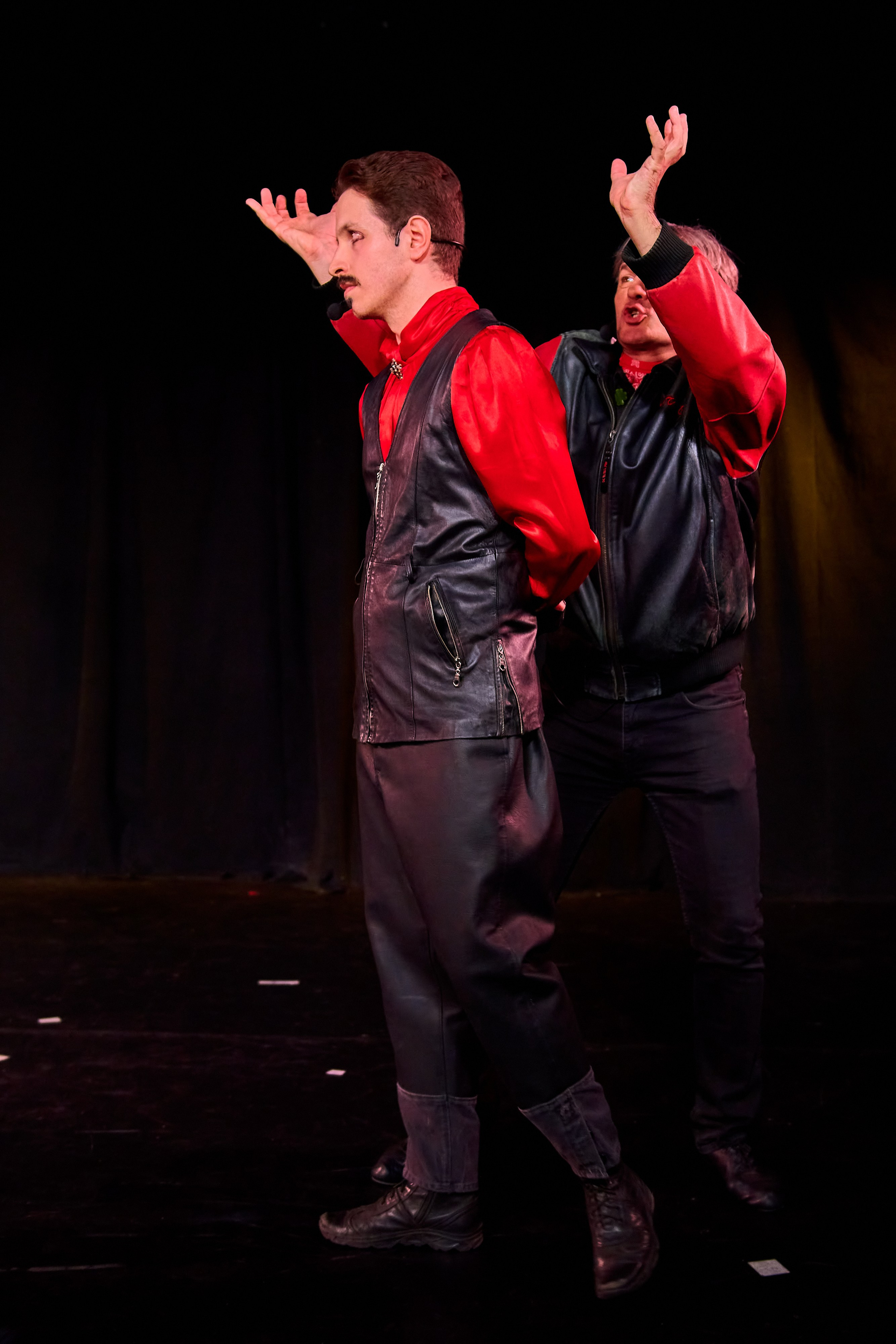 Мюзикл Перромания