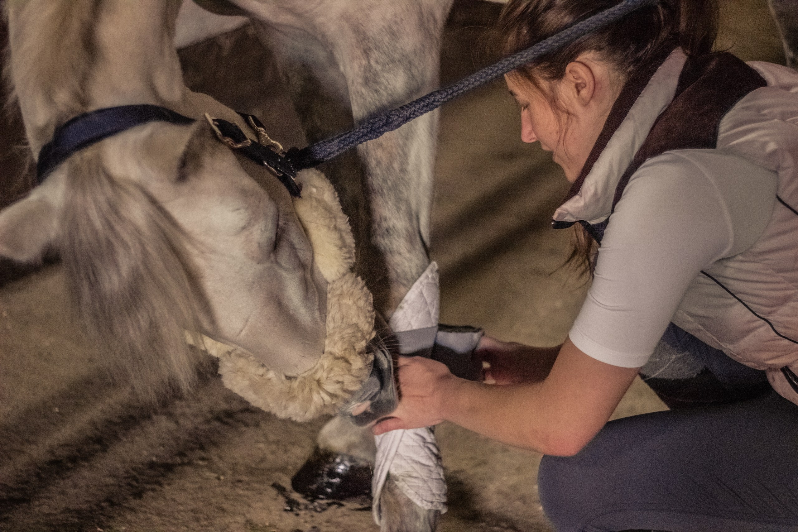 Для конников. Главная