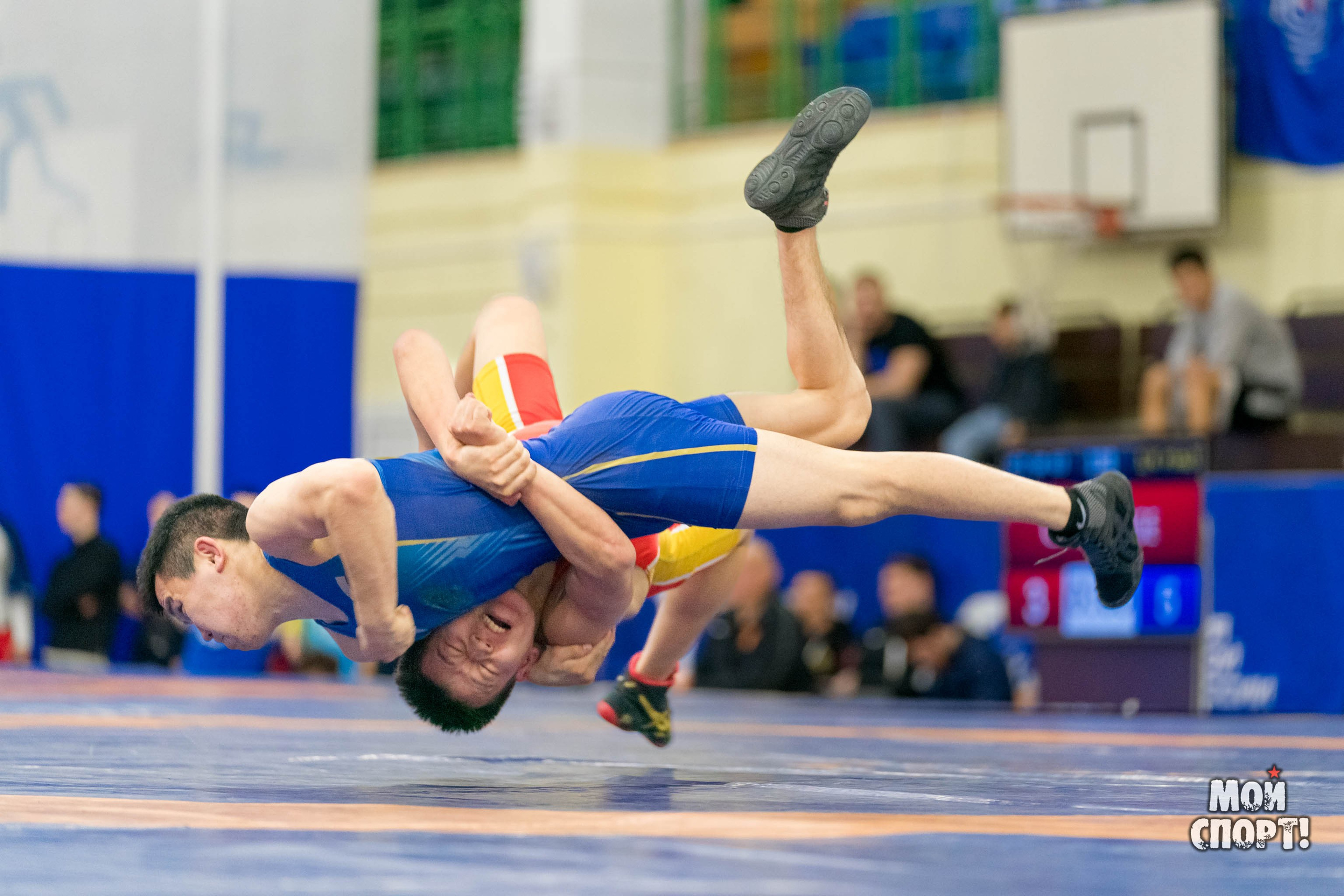 Чемпионат России среди студентов по спортивной борьбе 2024. ГРБ. Студия «Мой Спорт!» — все о спорте в Якутии