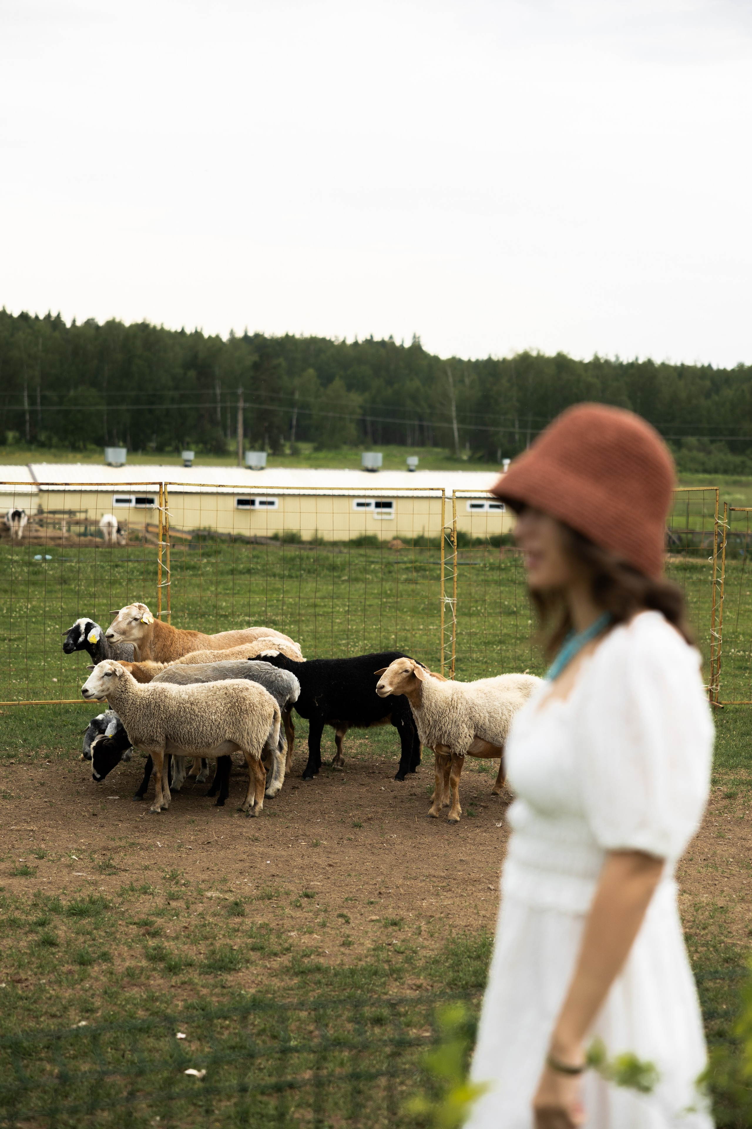 Максима Парк. Kharchenkotatianaweddingphoto