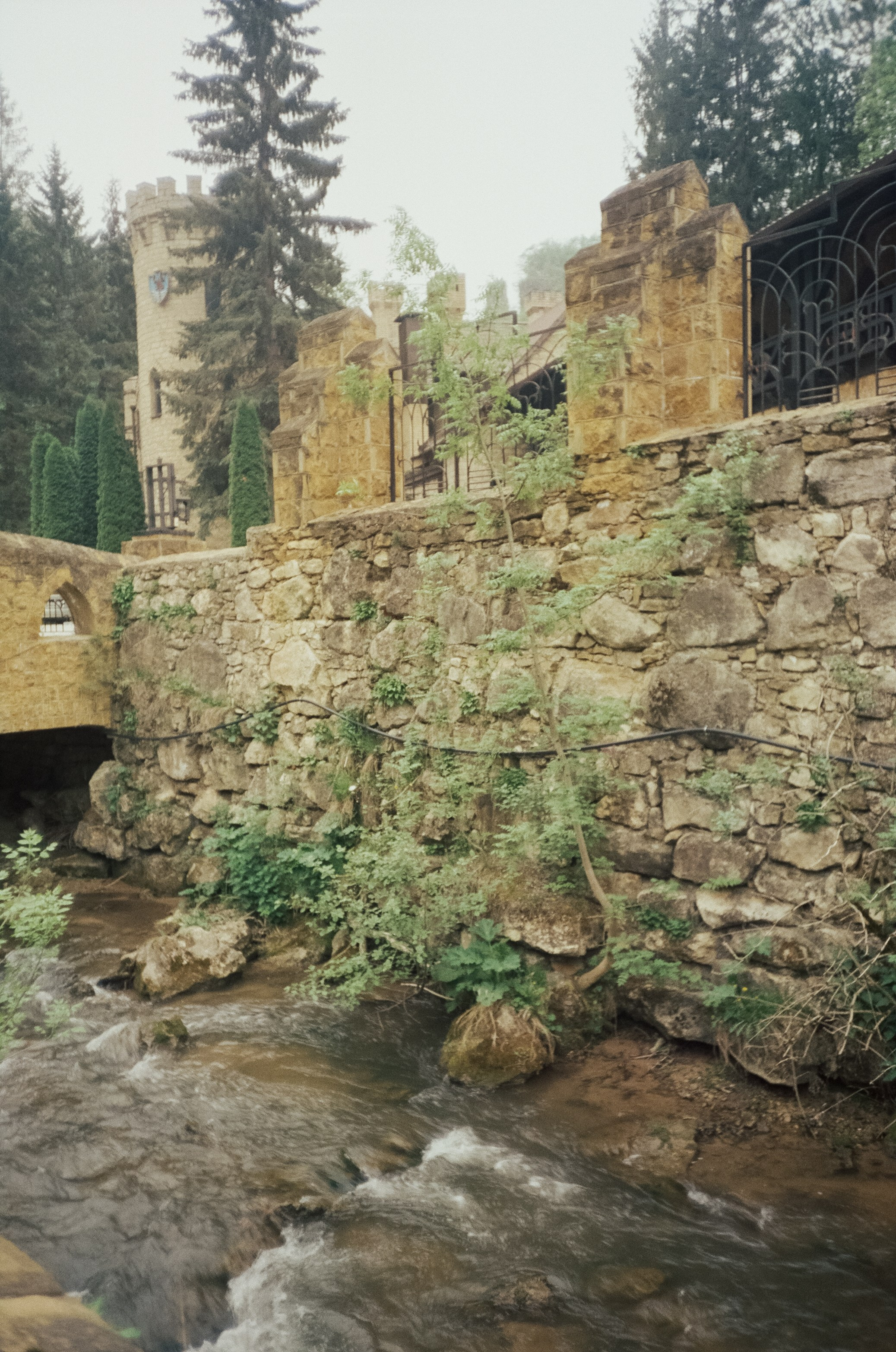 Дорога к Джилы-Су и лошадки в тумане. Фотограф-документалист Мария Осокина