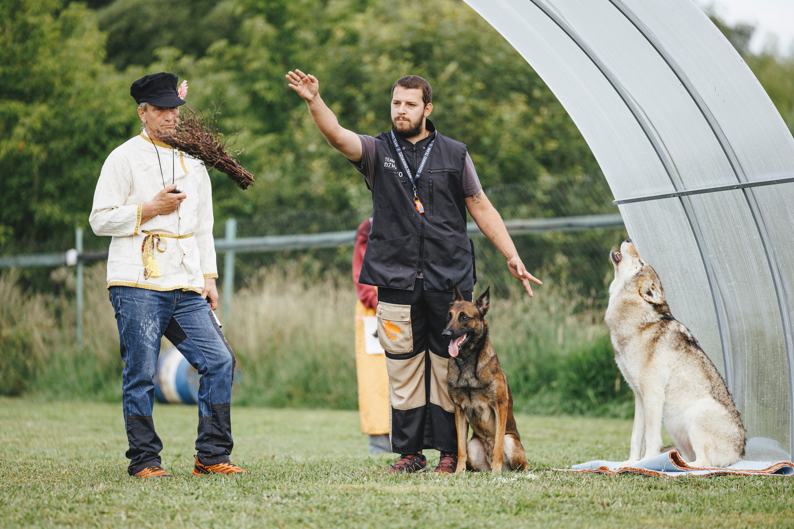 08.08.25-10.08.25 ЧР по мондьорингу г. Вологда. Фотограф-анималист Анна Маринич