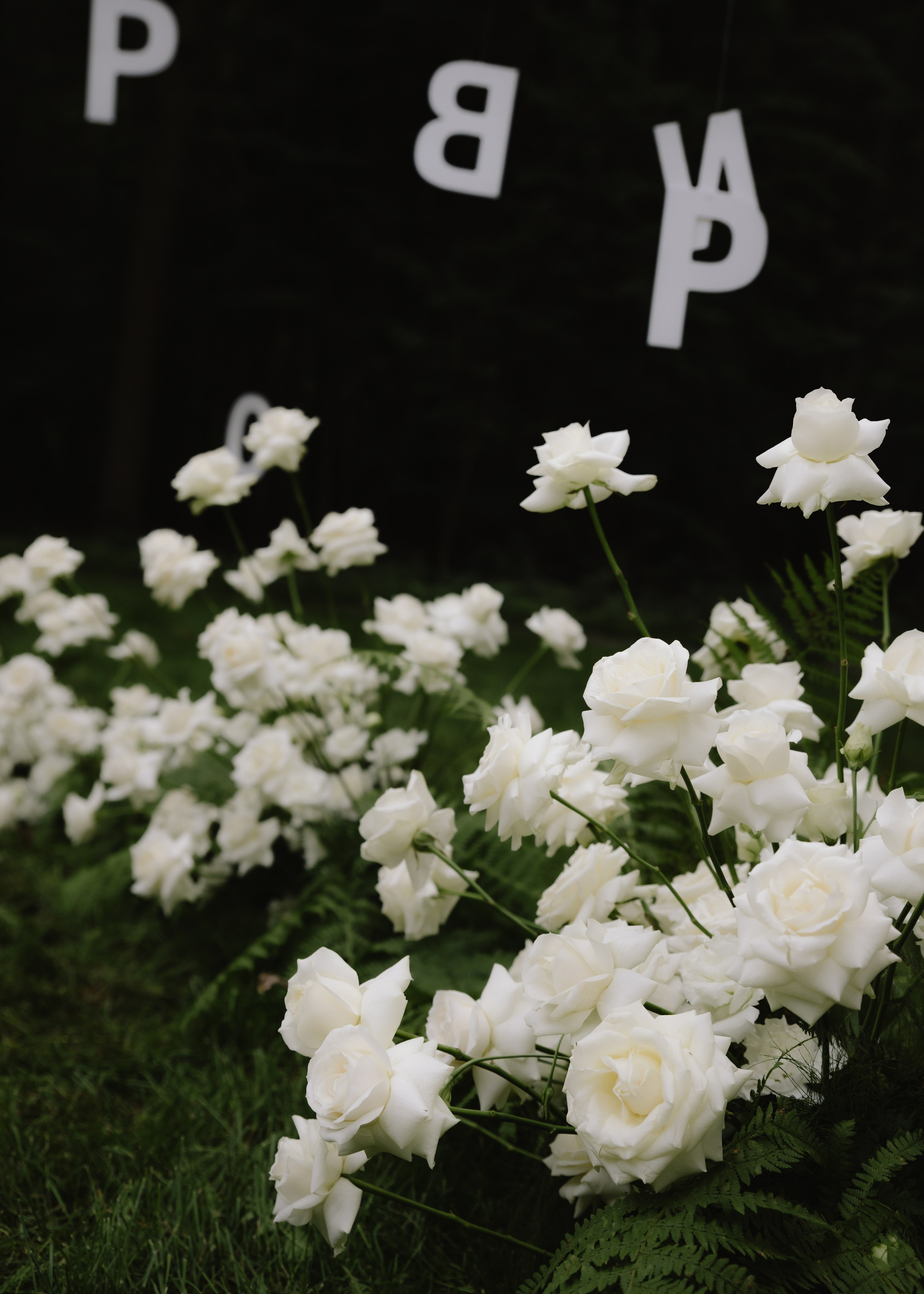 Михаил & Марина. Свадебный фотограф Москва и Подмосковье