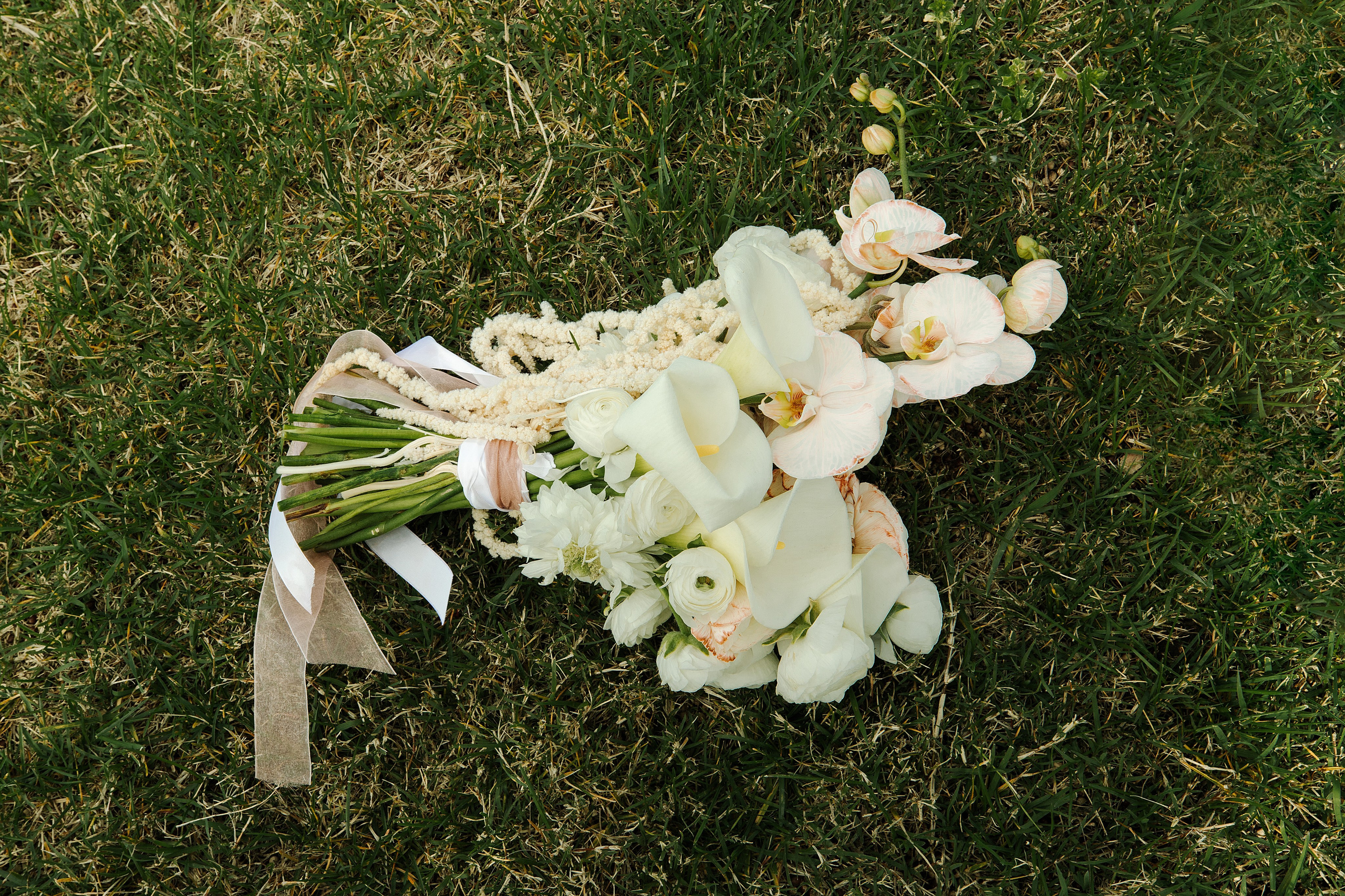 Александра и Александр. Свадебный фотограф Ростов-на-Дону Виолетта veslers.ph