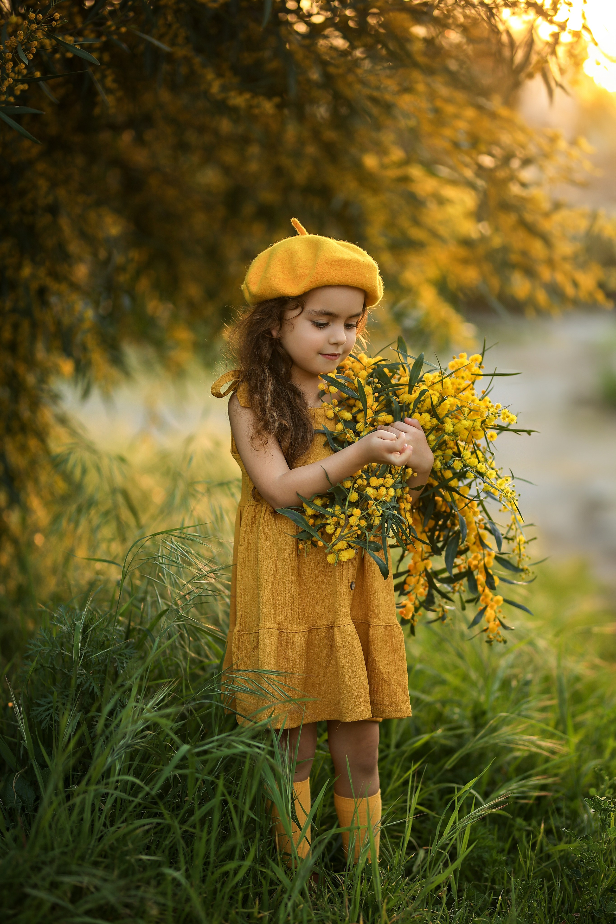 Photoshooting in mimosa
