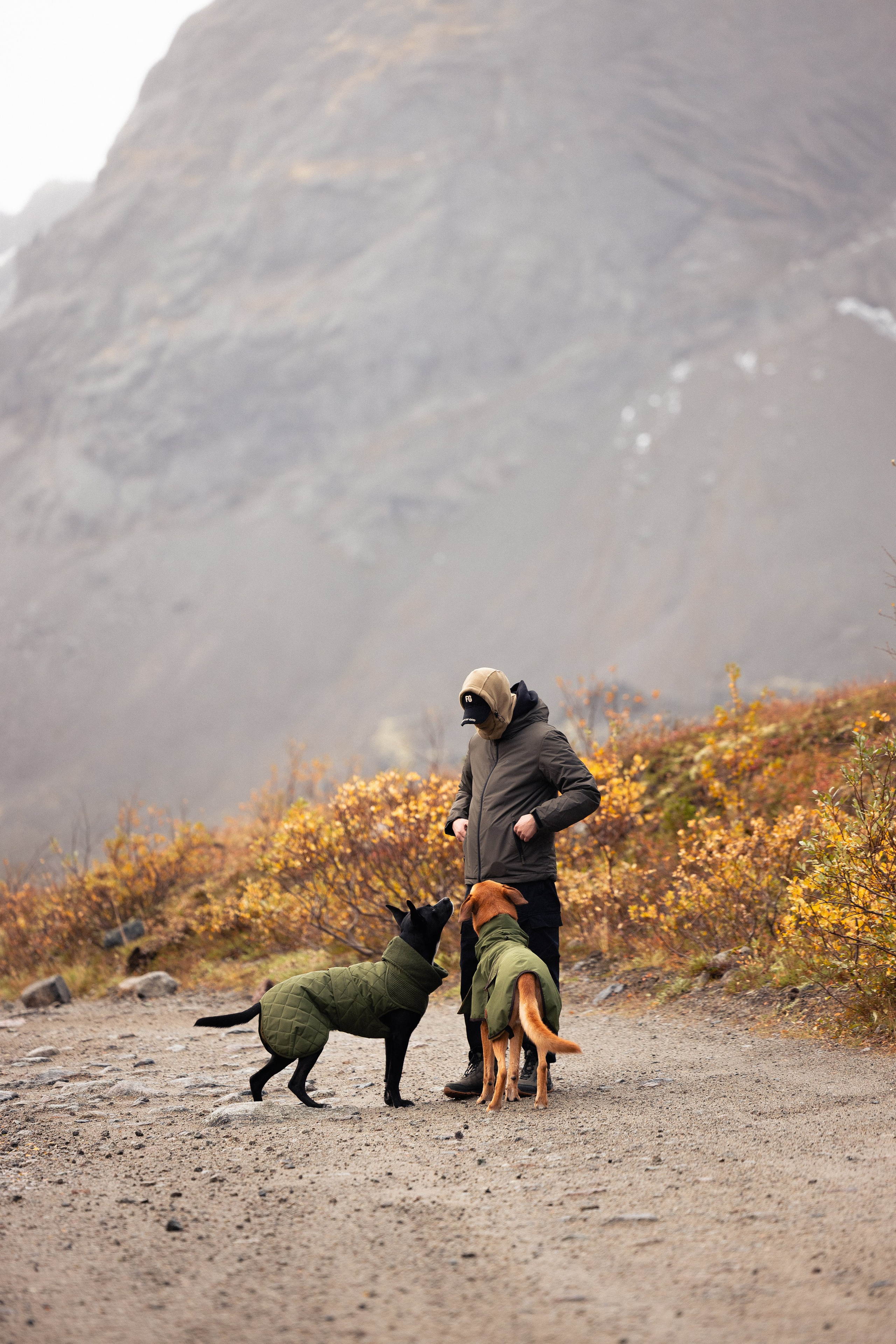 Кольский. Фотограф и видеограф анималист Аганина Дарья