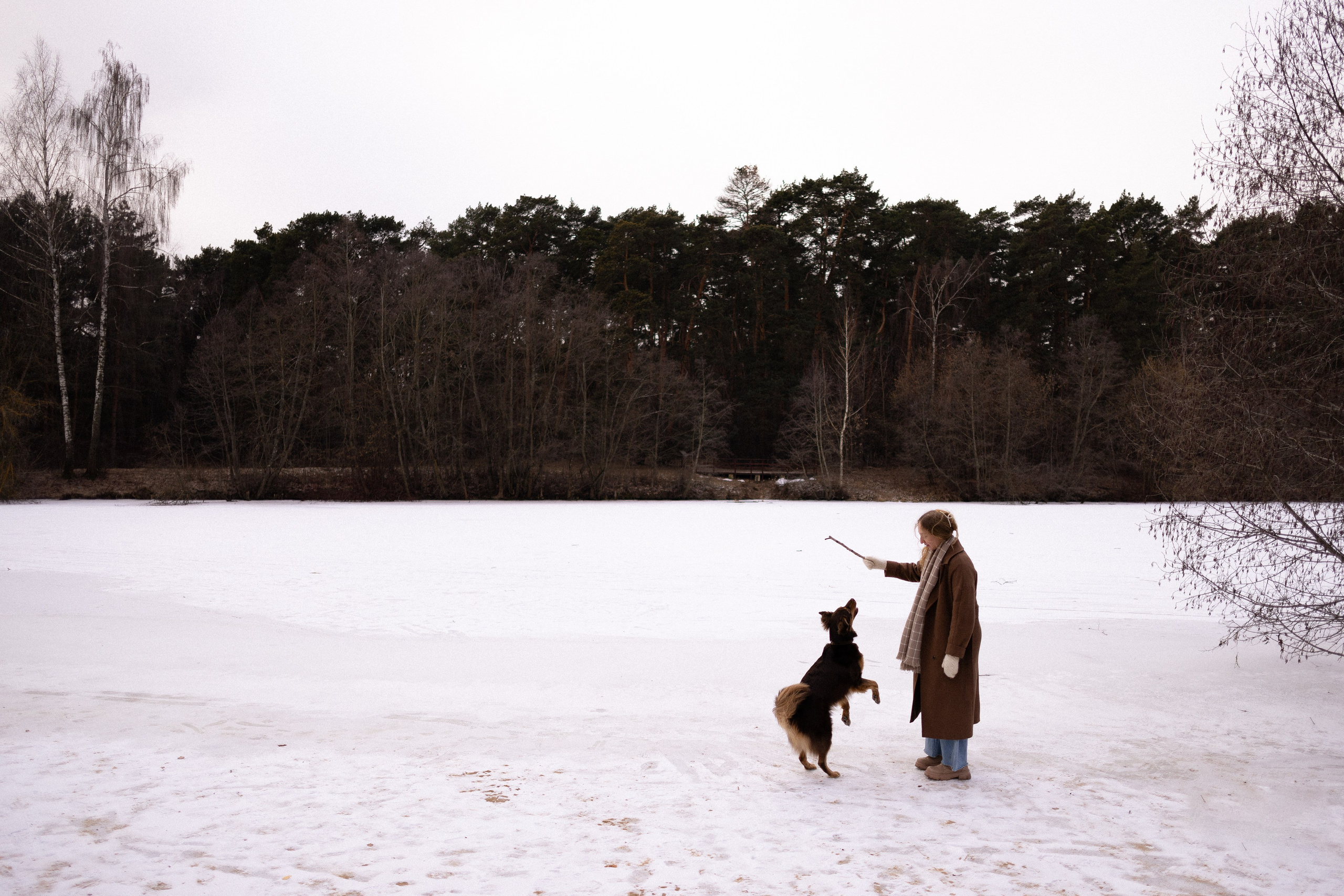 Катя и Мёд. Фотограф и видеограф анималист Аганина Дарья
