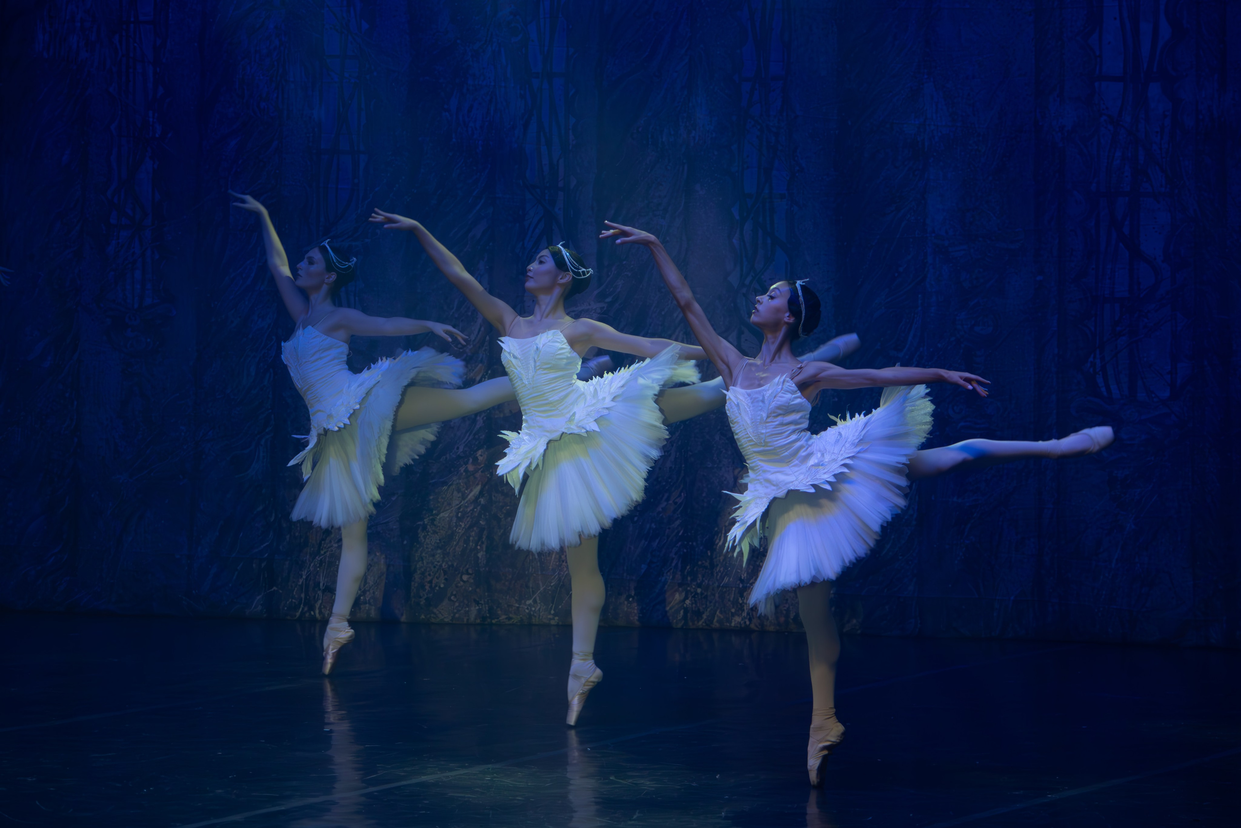 Лебединое озеро. Имперский русский балет. Фотограф в Нижнем Новгороде Екатерина Хисматулина