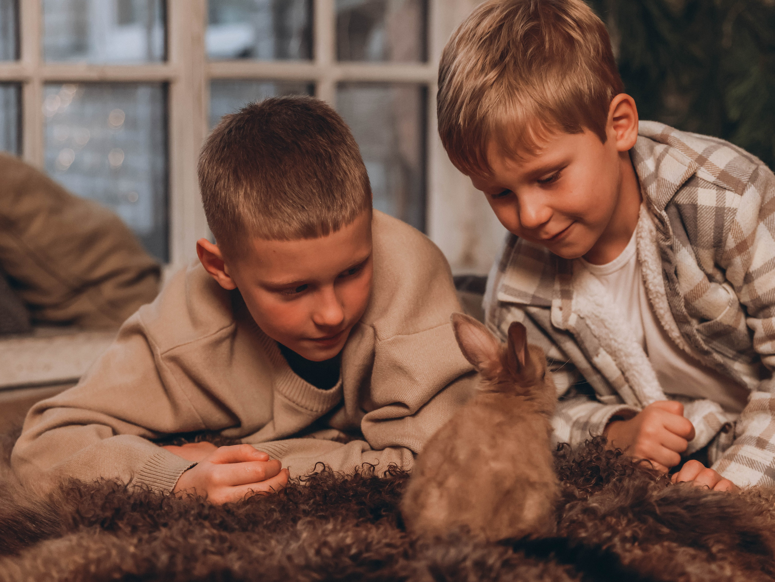 Вечерная семейная новогодняя. Мультифотограф Динара Ахмедзянова