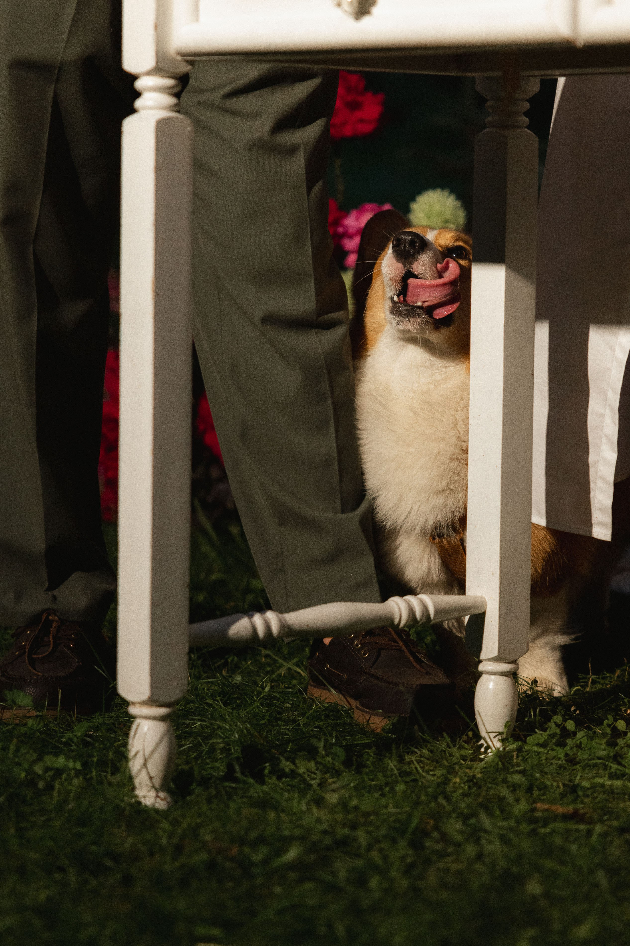 ТЫ — моё навсегда. Свадебный фотограф Ярославль, Рыбинск