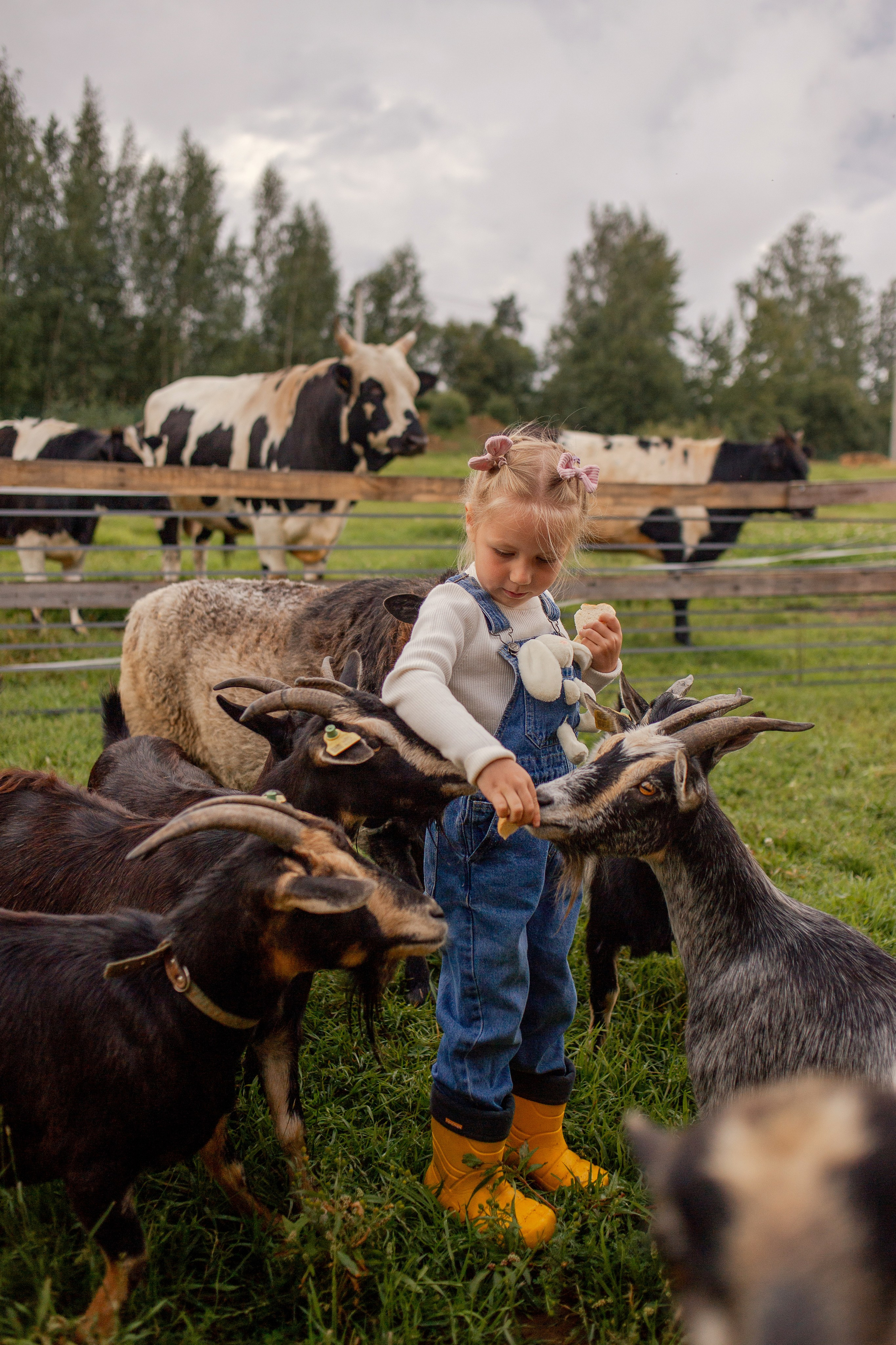 Детская фотосессия на ферме в СПб