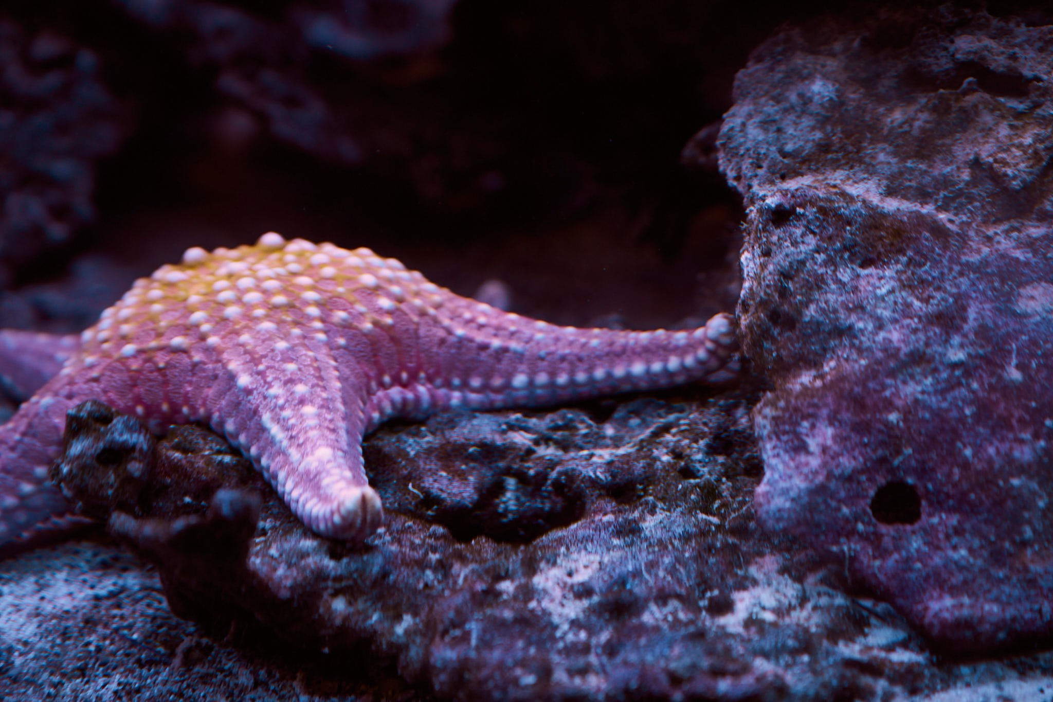 ZOO. ФОТОГРАФ ЕКАТЕРИНБУРГ