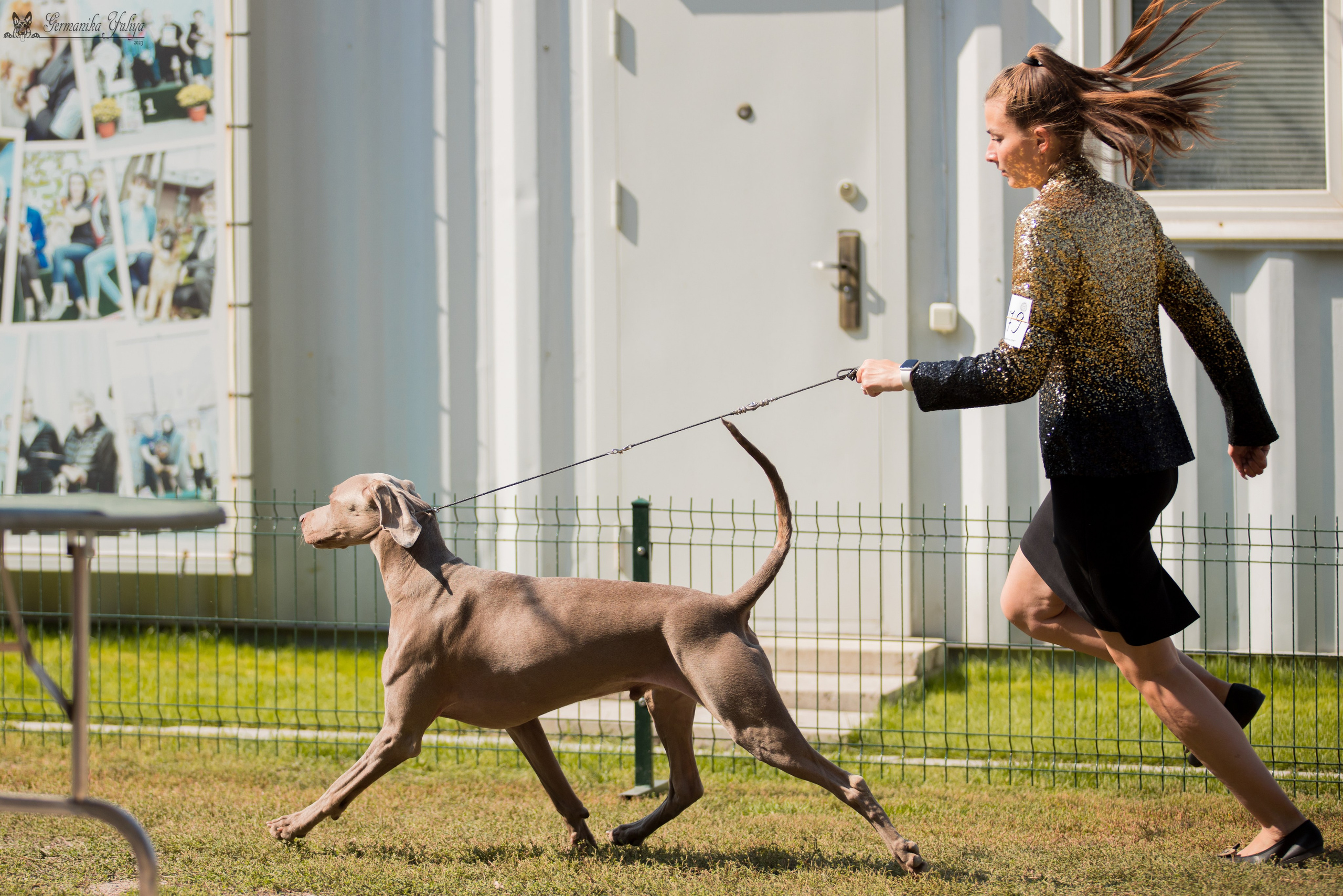 Бишкек 29.09-01.10.2023. Фотограф-анималист Юлия Германика