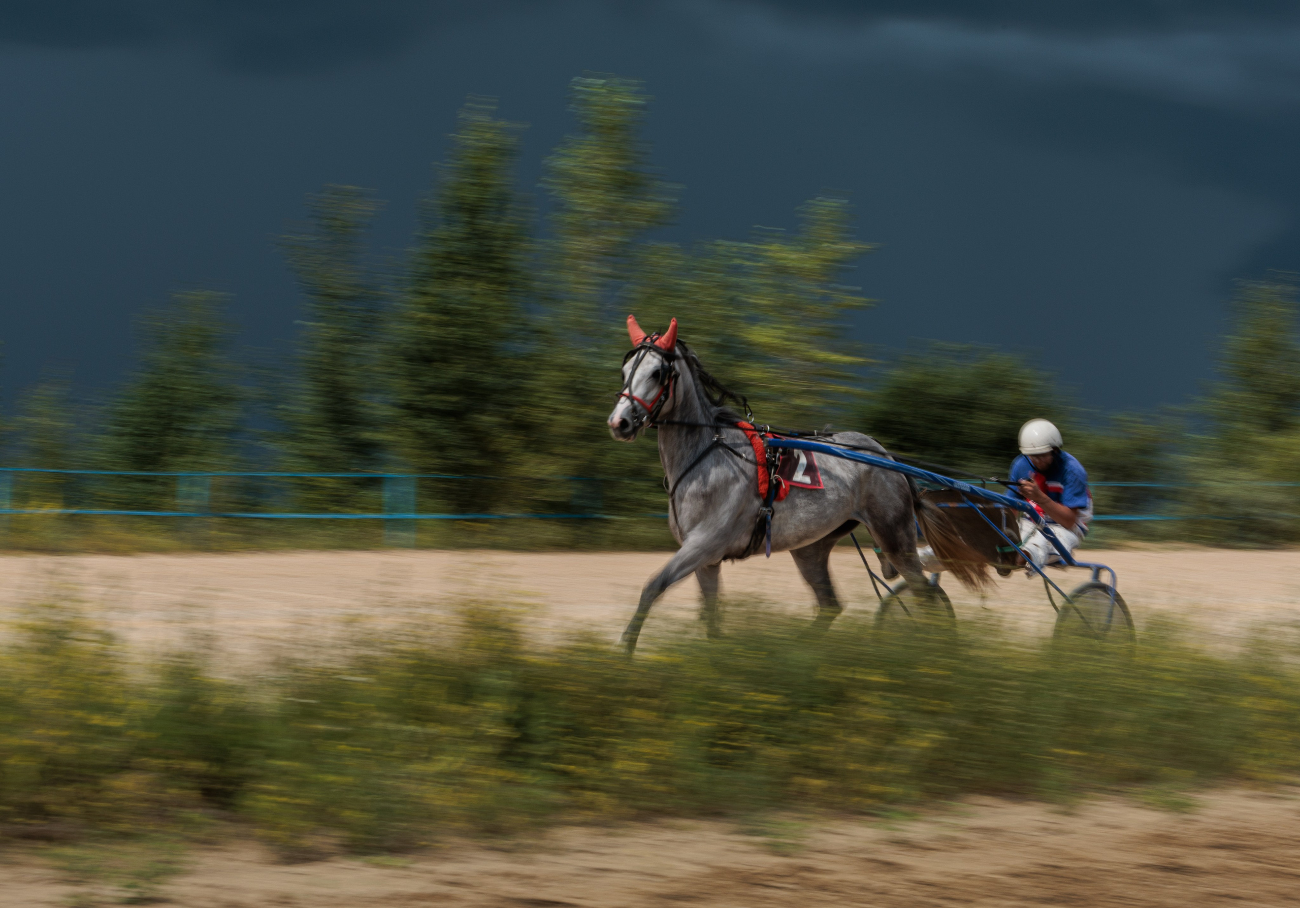 2025. Конный фотограф в Красноярске — Любовь Похабова