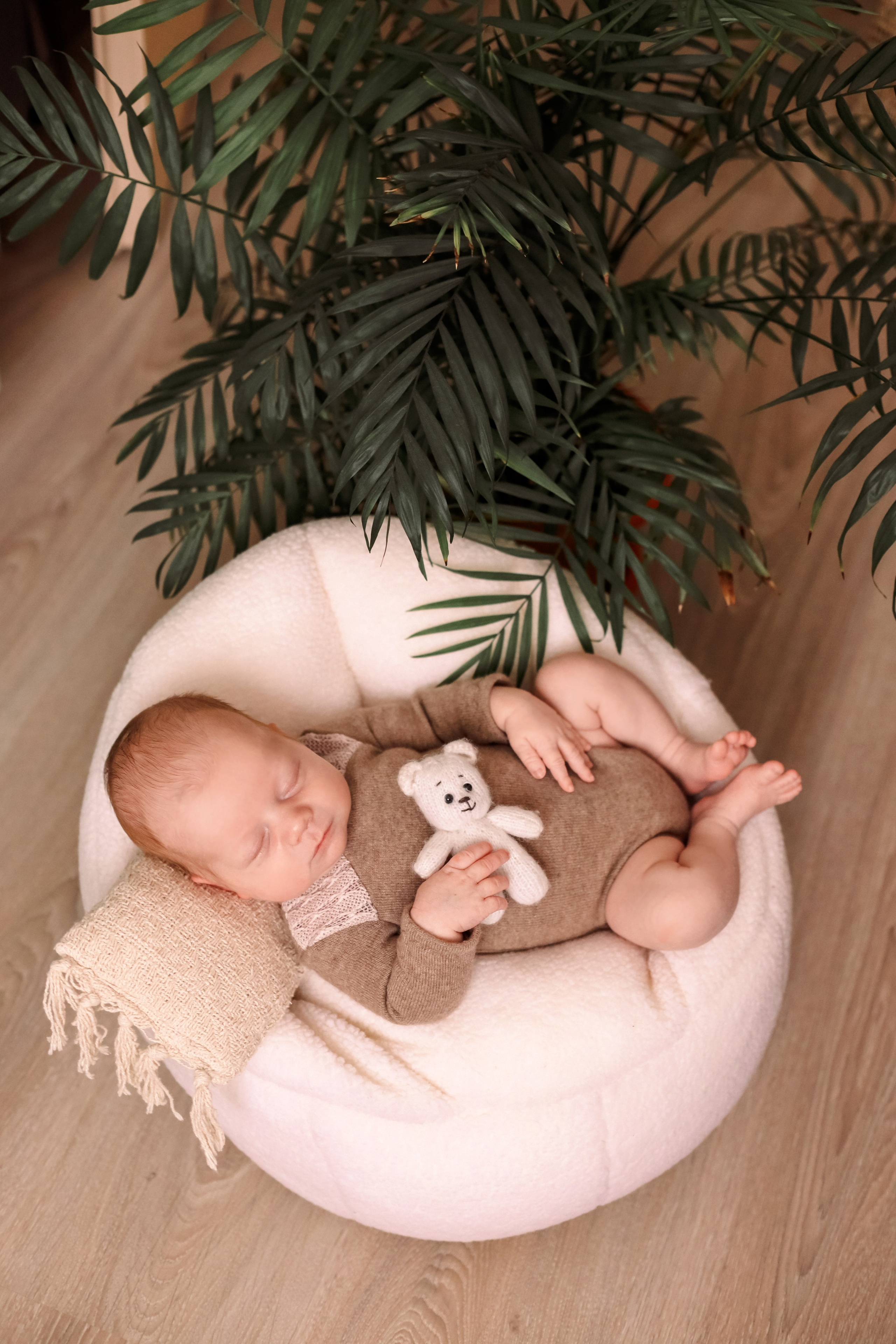 Даниил 17 дней. Семейный фотограф и фотограф новорожденных в Санкт-Петербурге Алина Фе