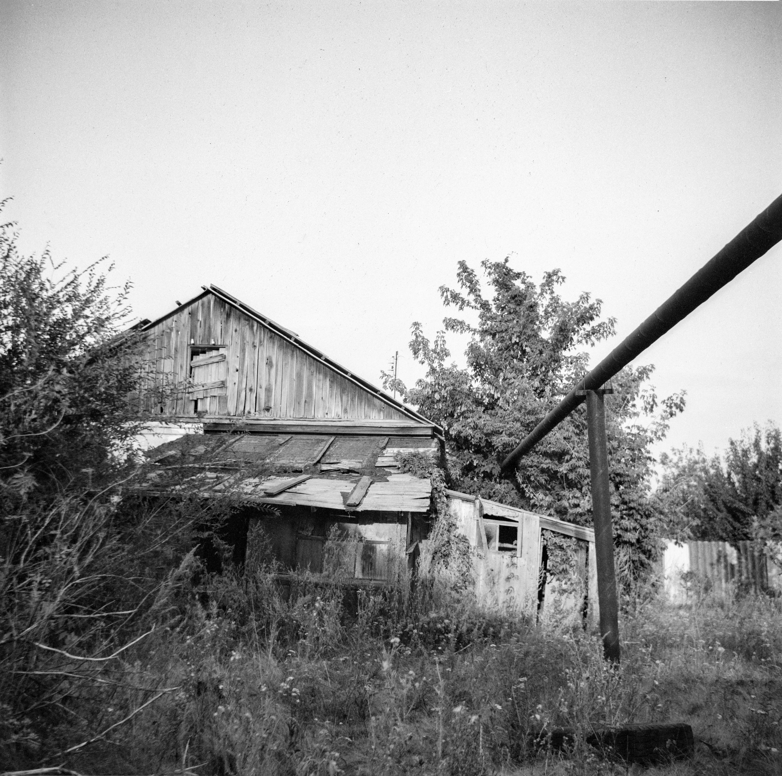 Пленочная история. Дмитрий Пропадалин, Нейрофотография