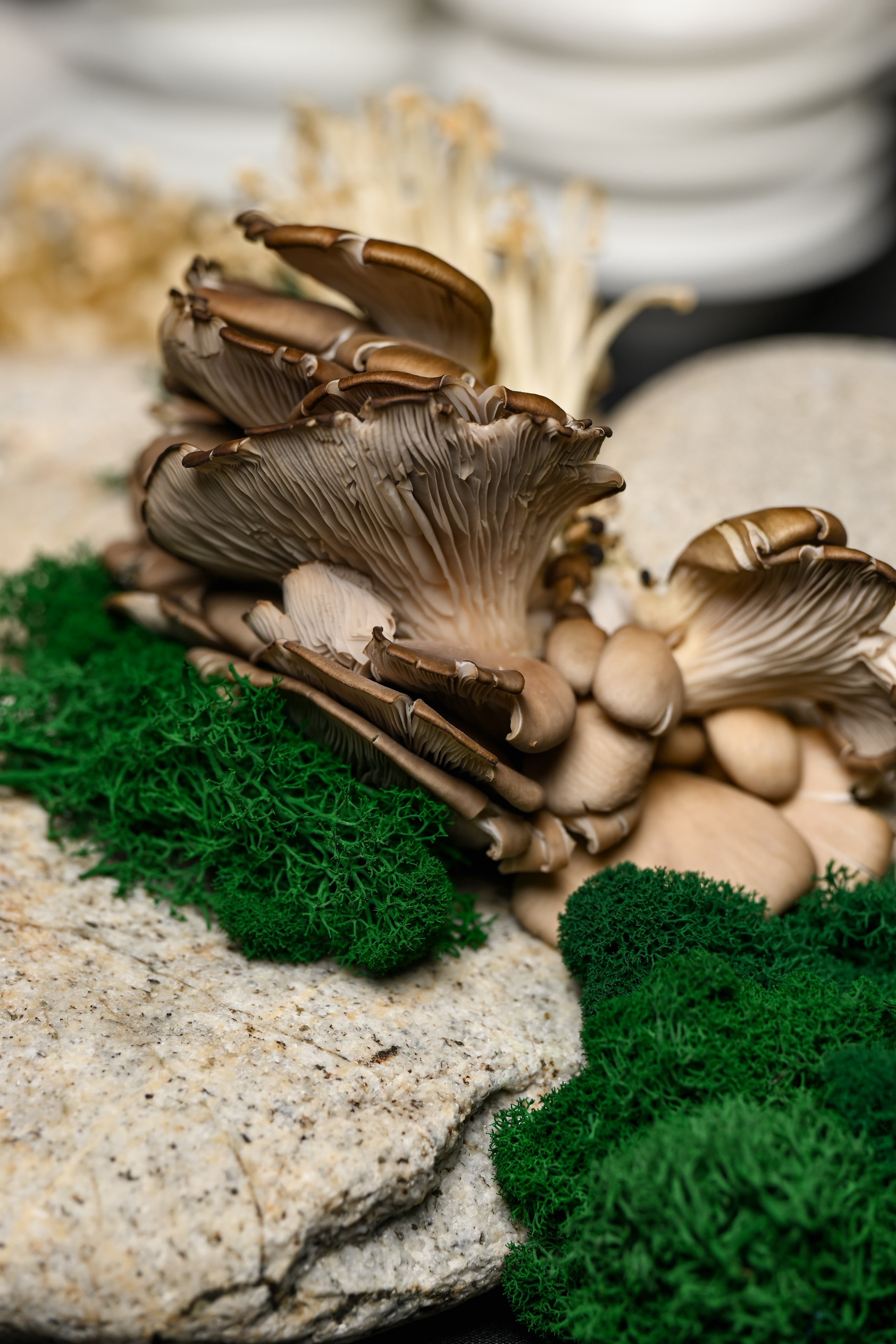 Food съемка. Портфолио