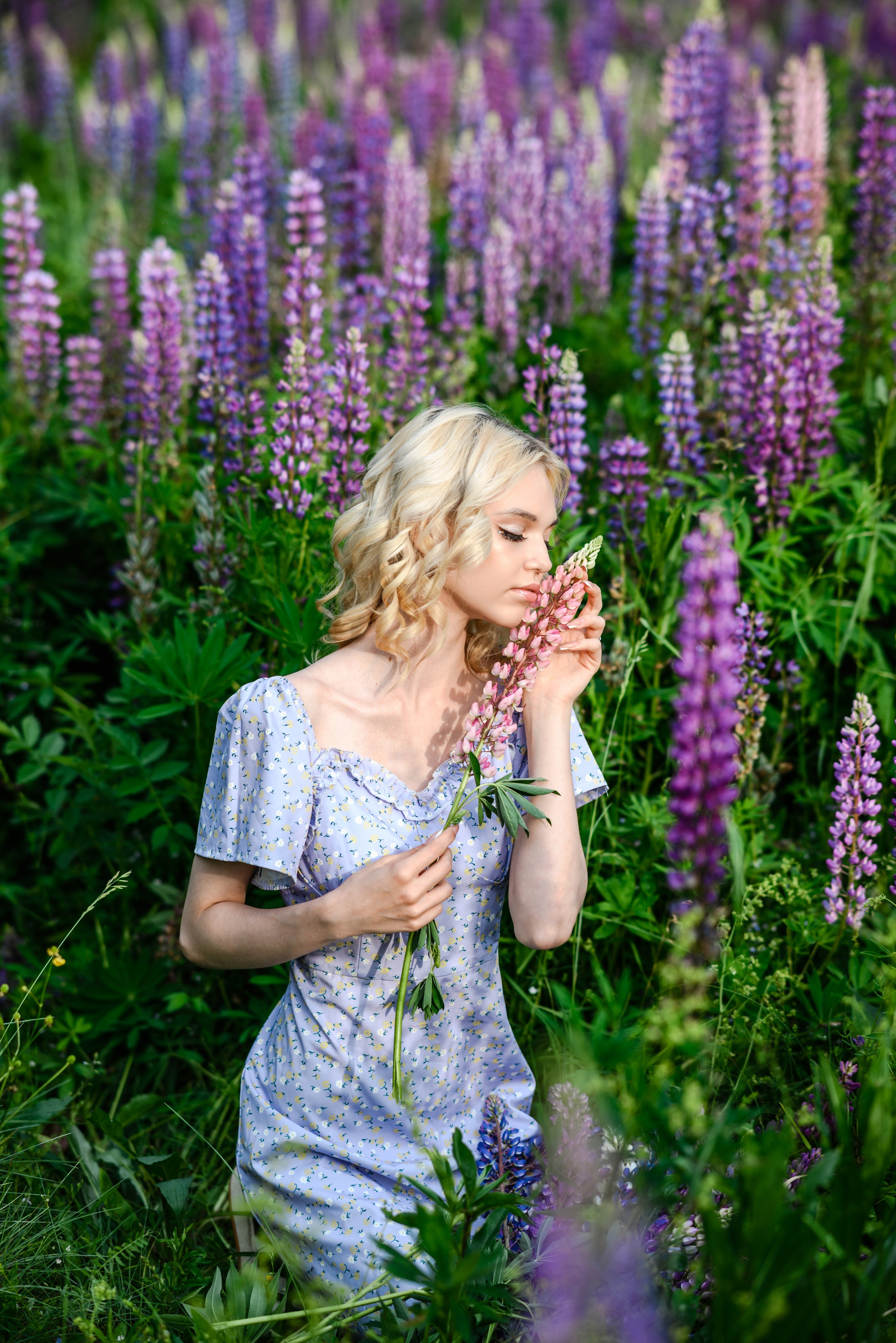 Владлена в люпинах. Свадебный и семейный фотограф в Дзержинске Екатерина Шулакова