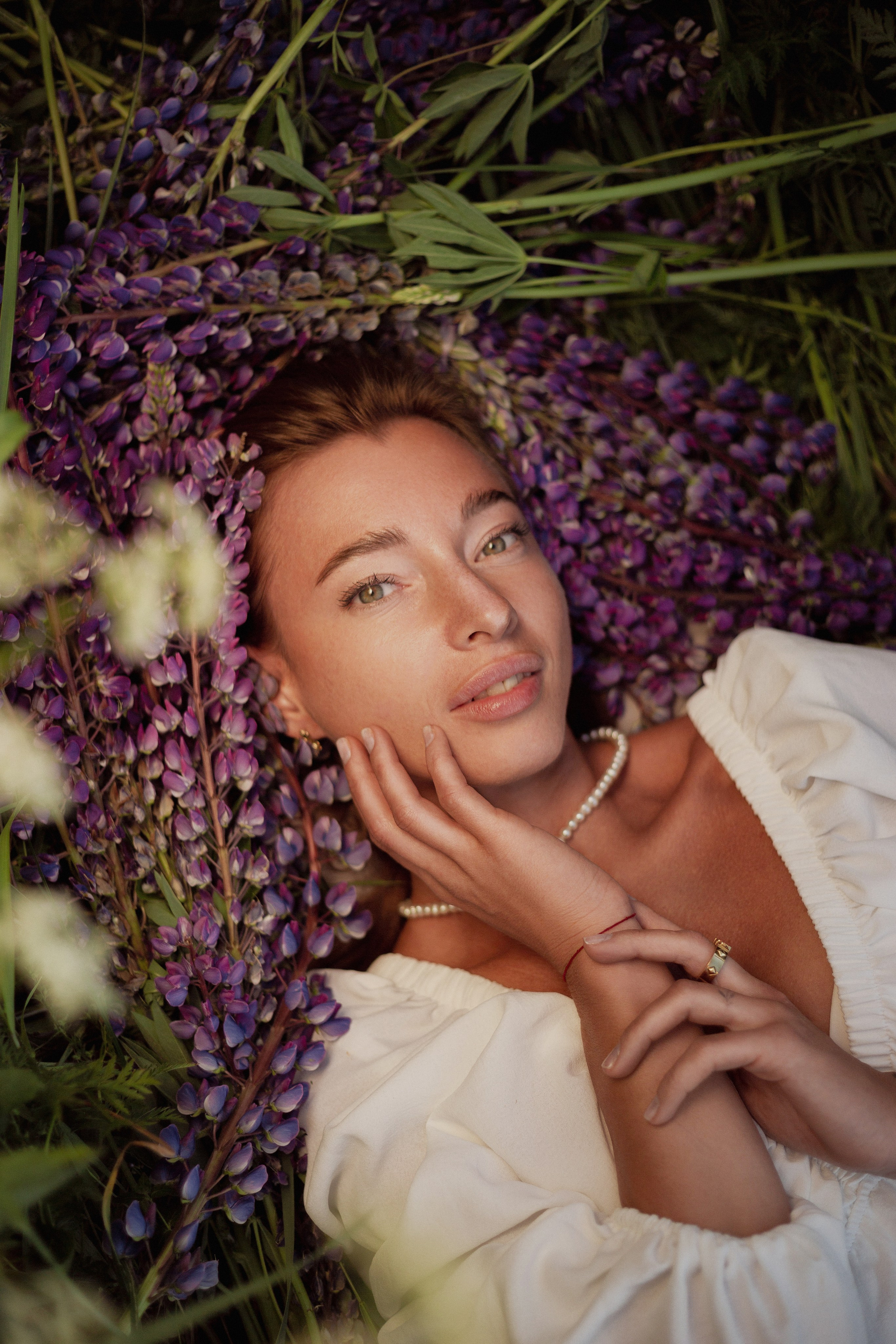 Люпины. Фотограф Москва / Балашиха