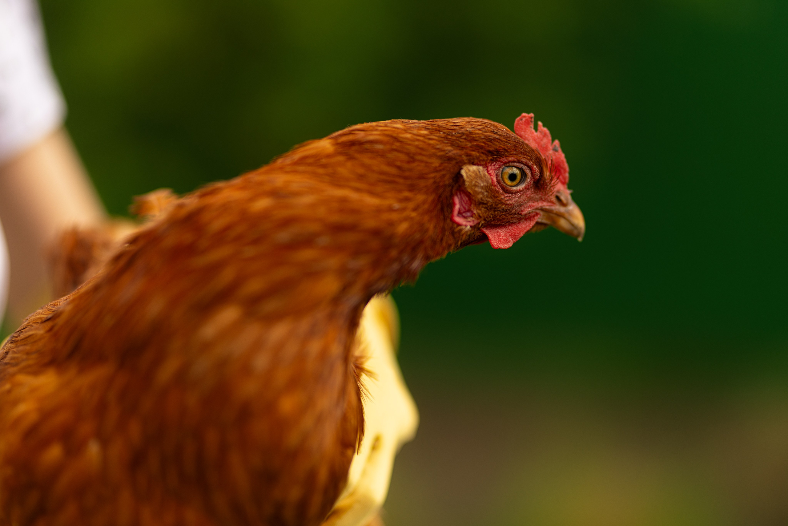 Игорь и Катя. Солнце Дивногорья. Дмитрий Шульгин, портретный фотограф в Воронеже