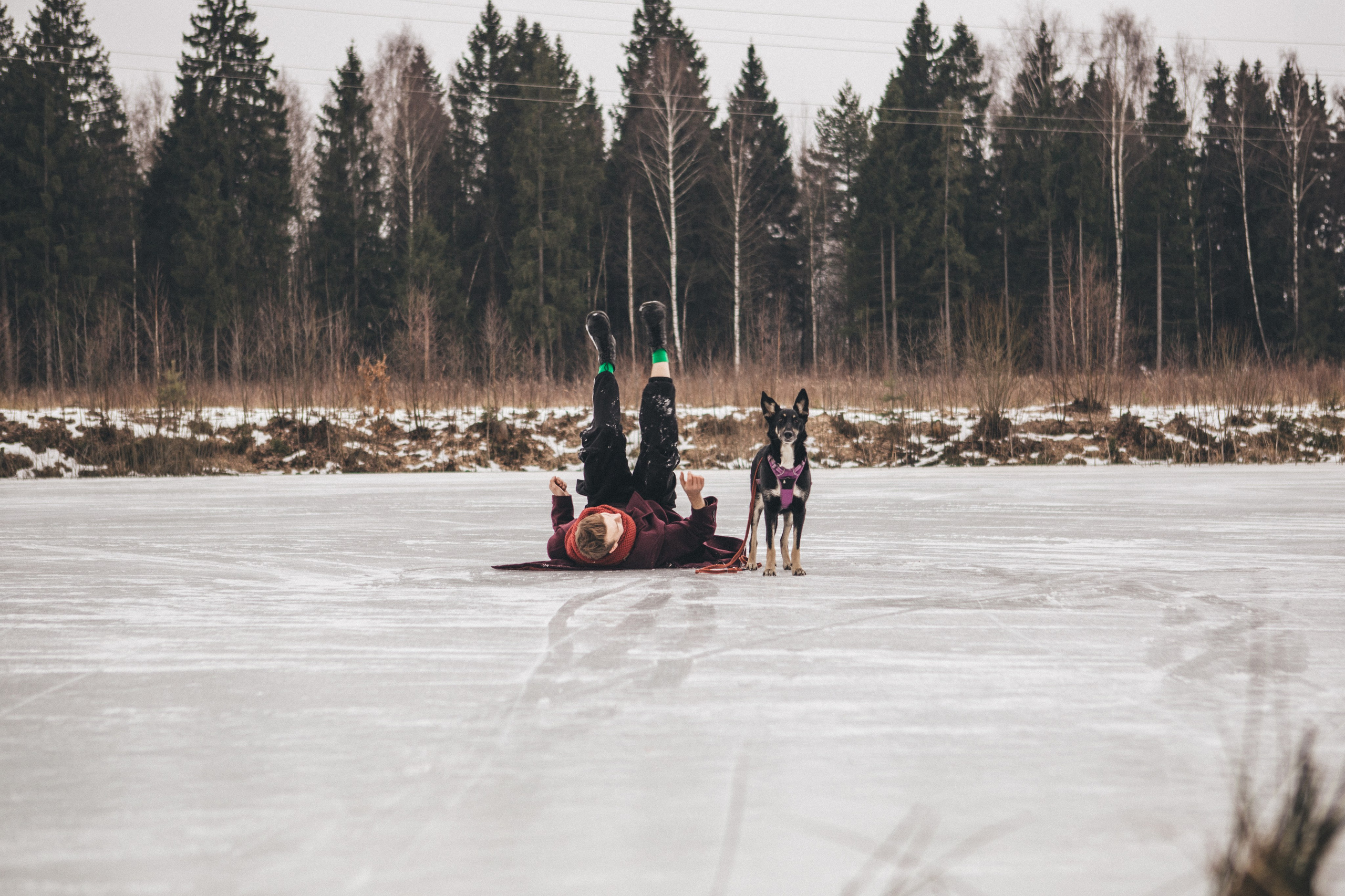 A cinematic tale of true love and unbreakable friendship between a man and a dog. Portrait, family and pet photographer in Cyprus, Ksenia Bourdelle