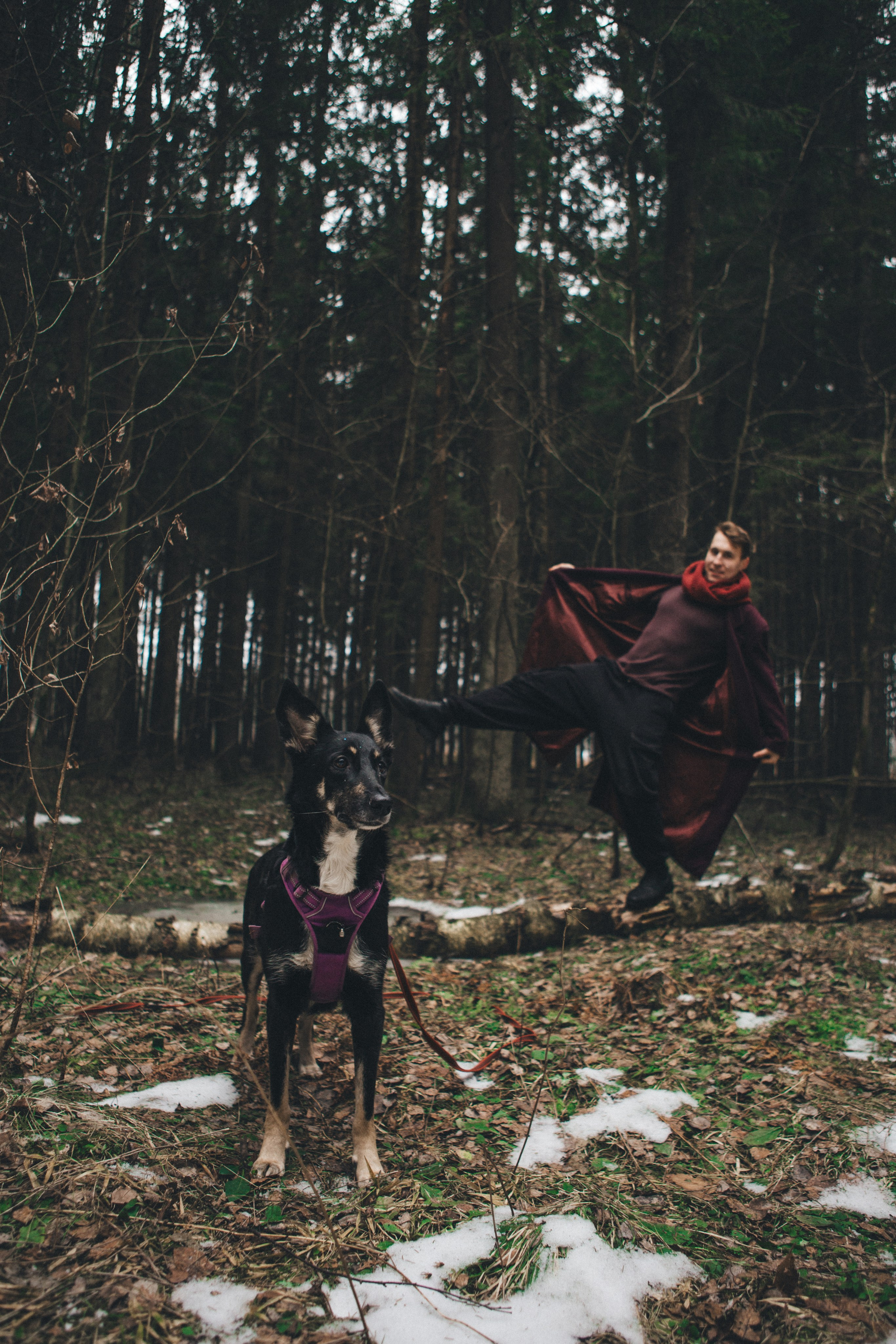 A cinematic tale of true love and unbreakable friendship between a man and a dog. Portrait, family and pet photographer in Cyprus, Ksenia Bourdelle
