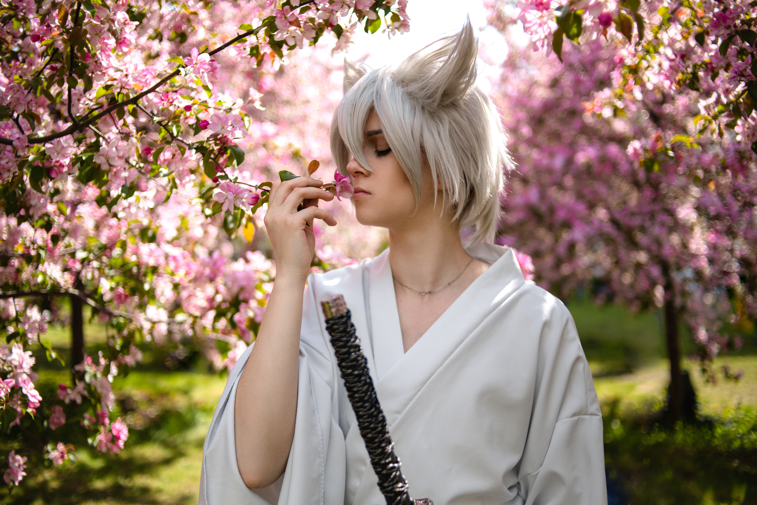 Outdoor. Shredguard Photo