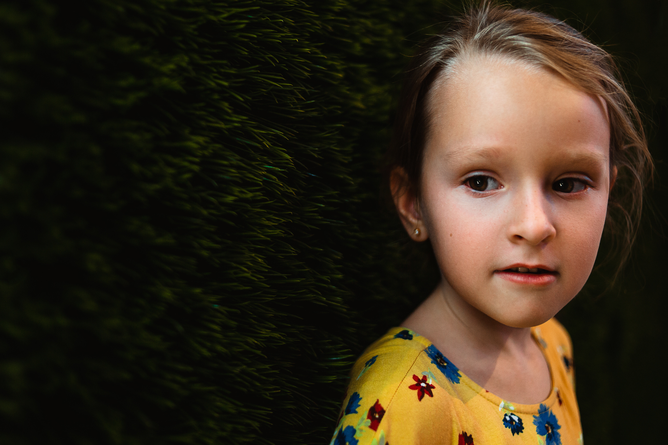 Indoor. Shredguard Photo