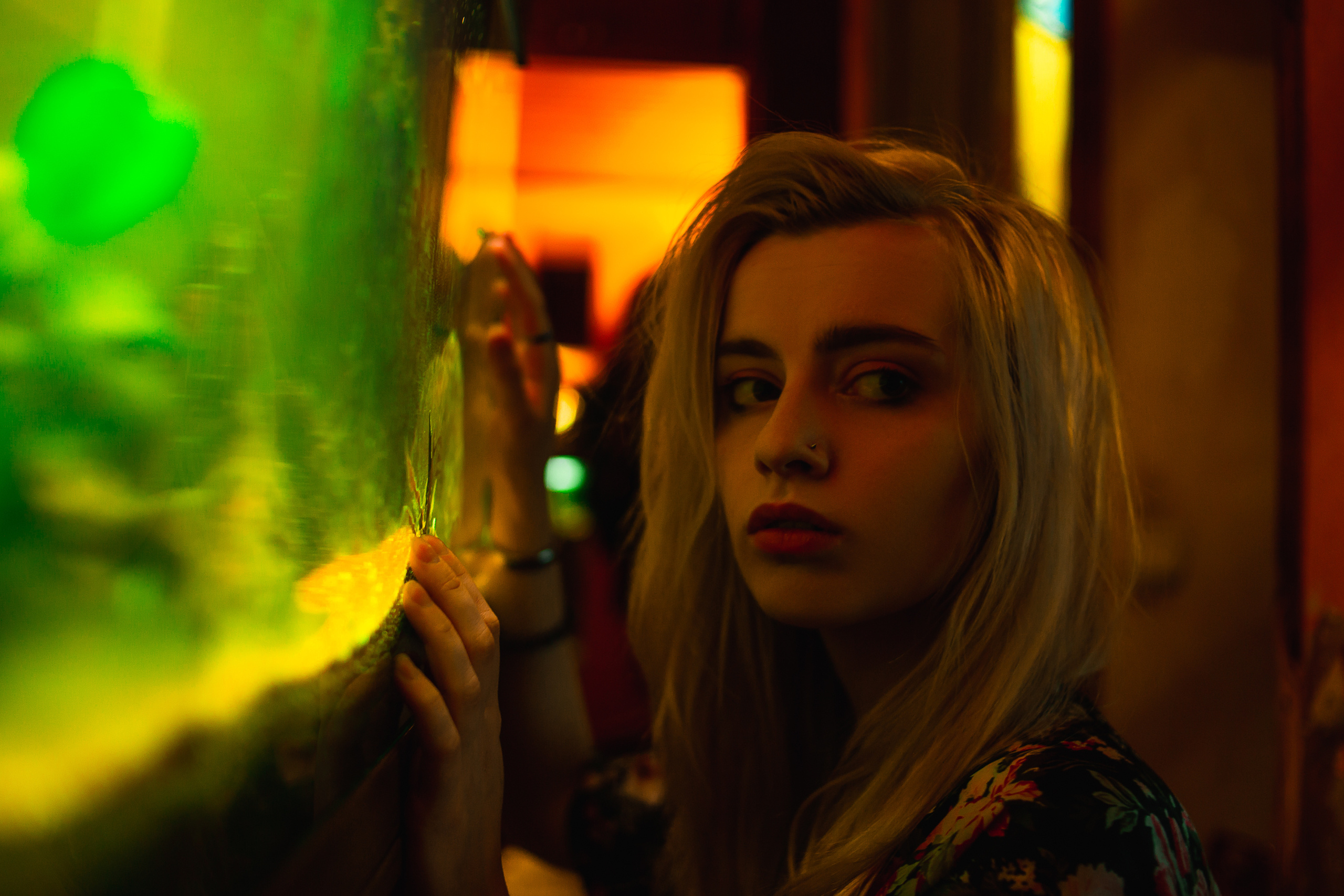 Indoor. Shredguard Photo