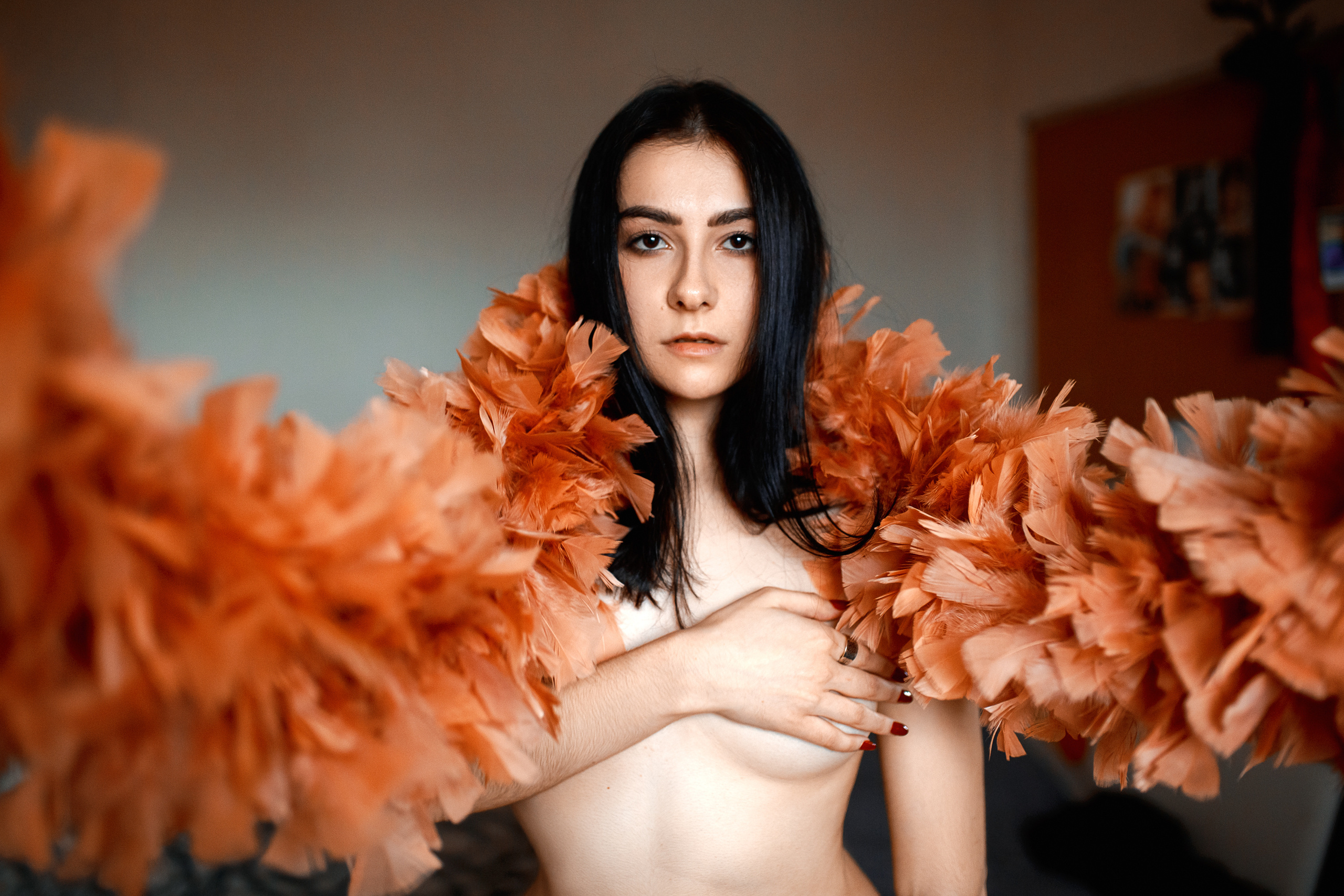 Aesthetic. Shredguard Photo