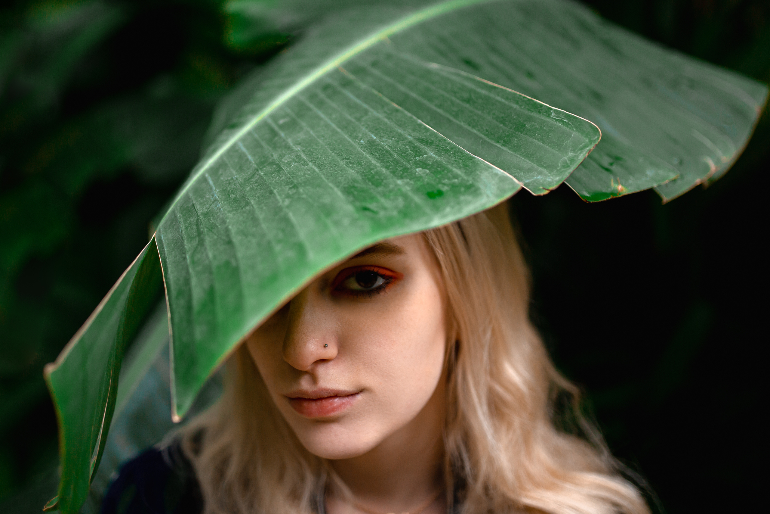 Outdoor. Shredguard Photo