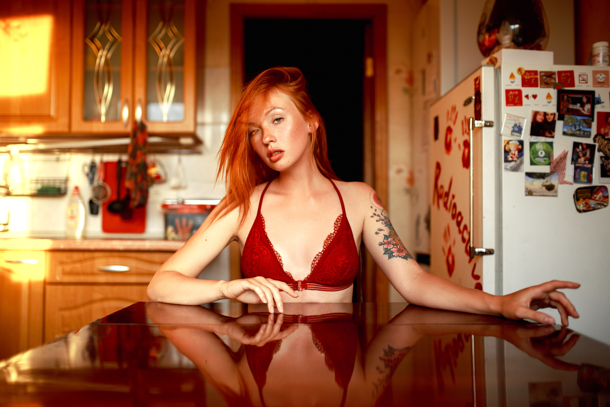 Aesthetic. Shredguard Photo