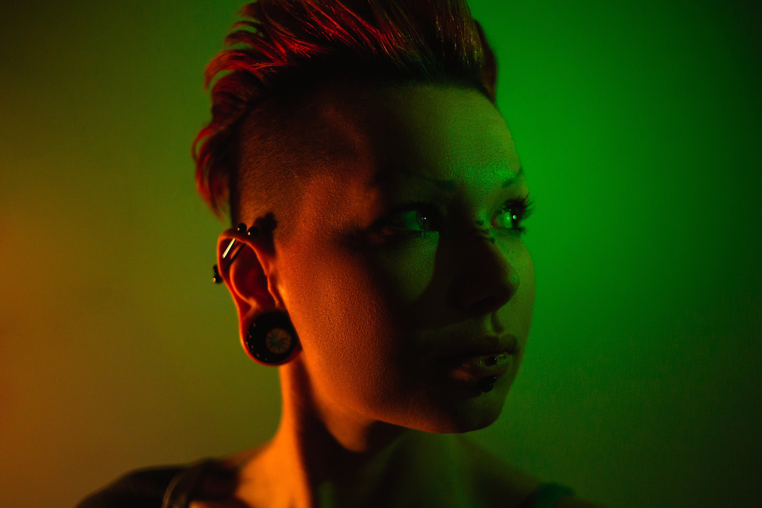 Indoor. Shredguard Photo