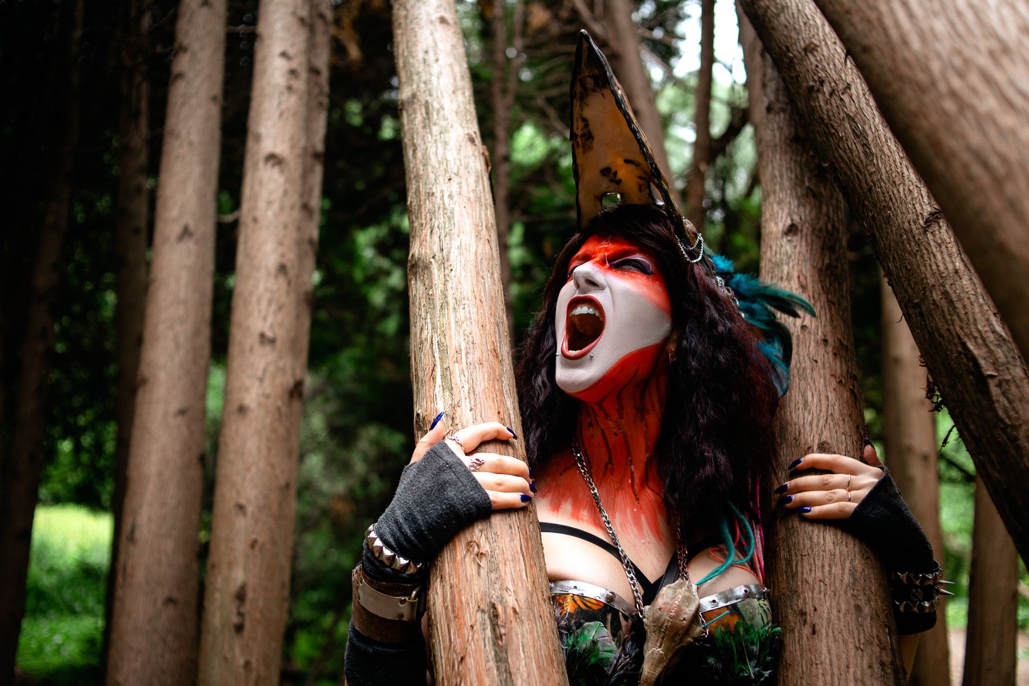 Outdoor. Shredguard Photo