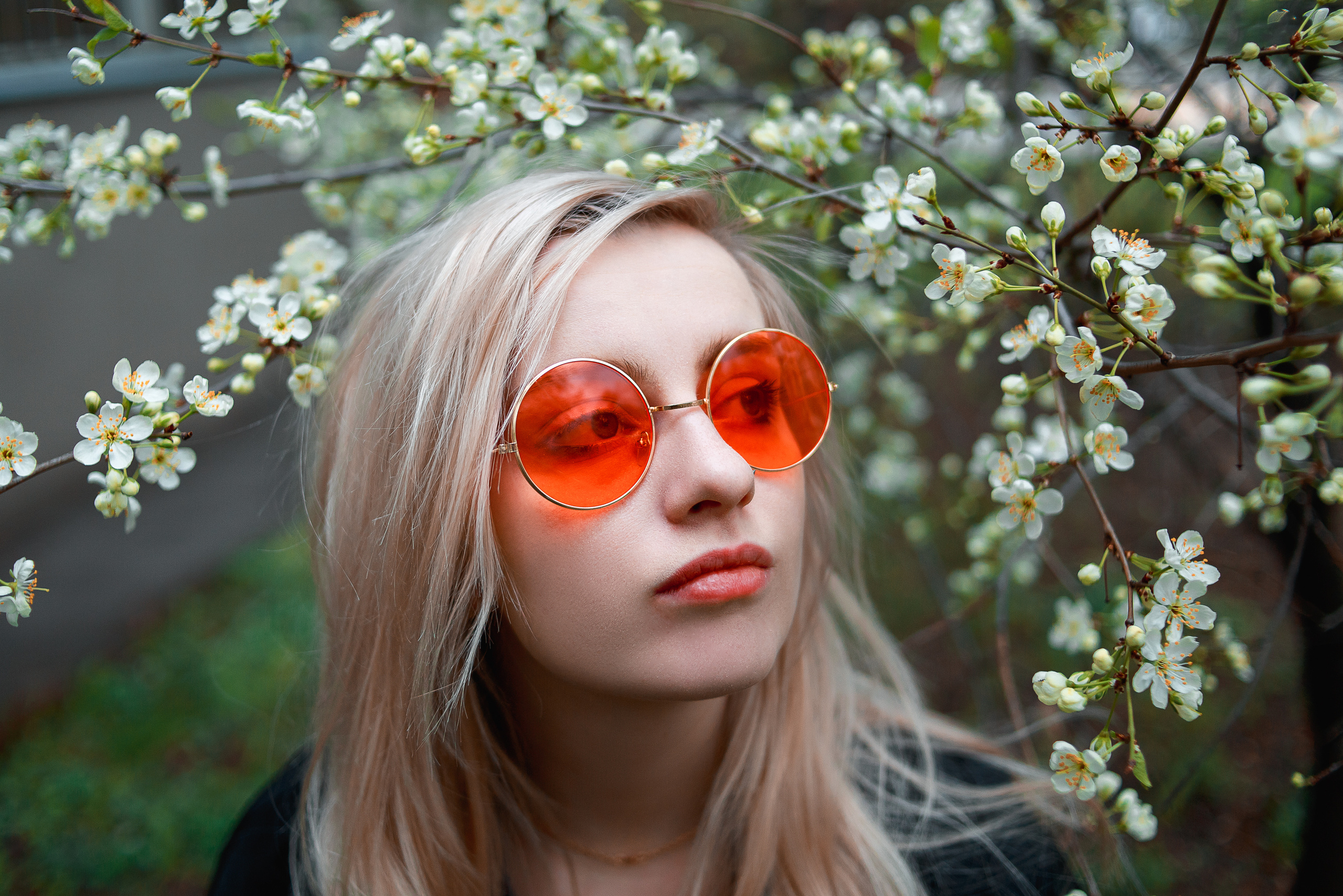 Outdoor. Shredguard Photo