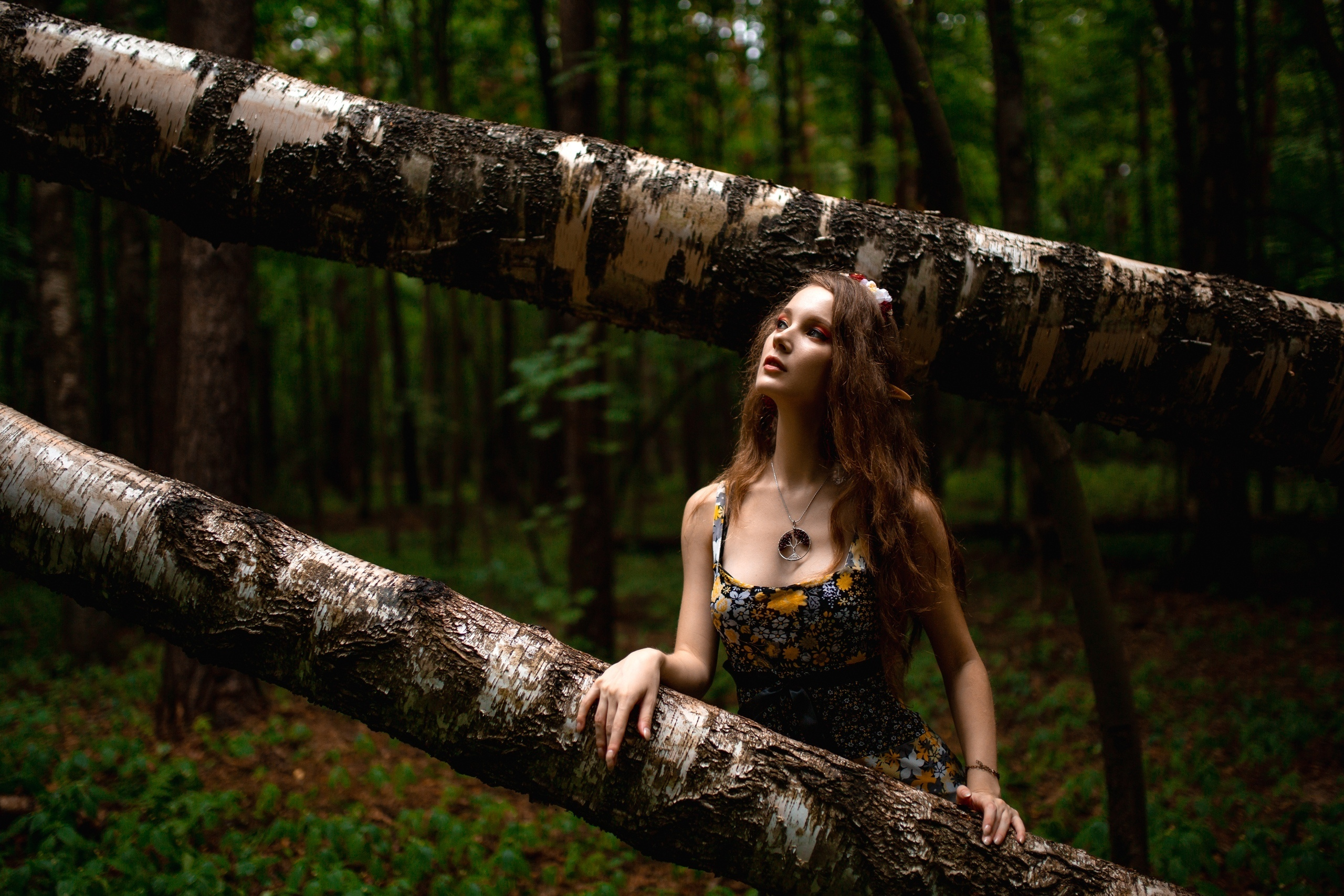 Outdoor. Shredguard Photo