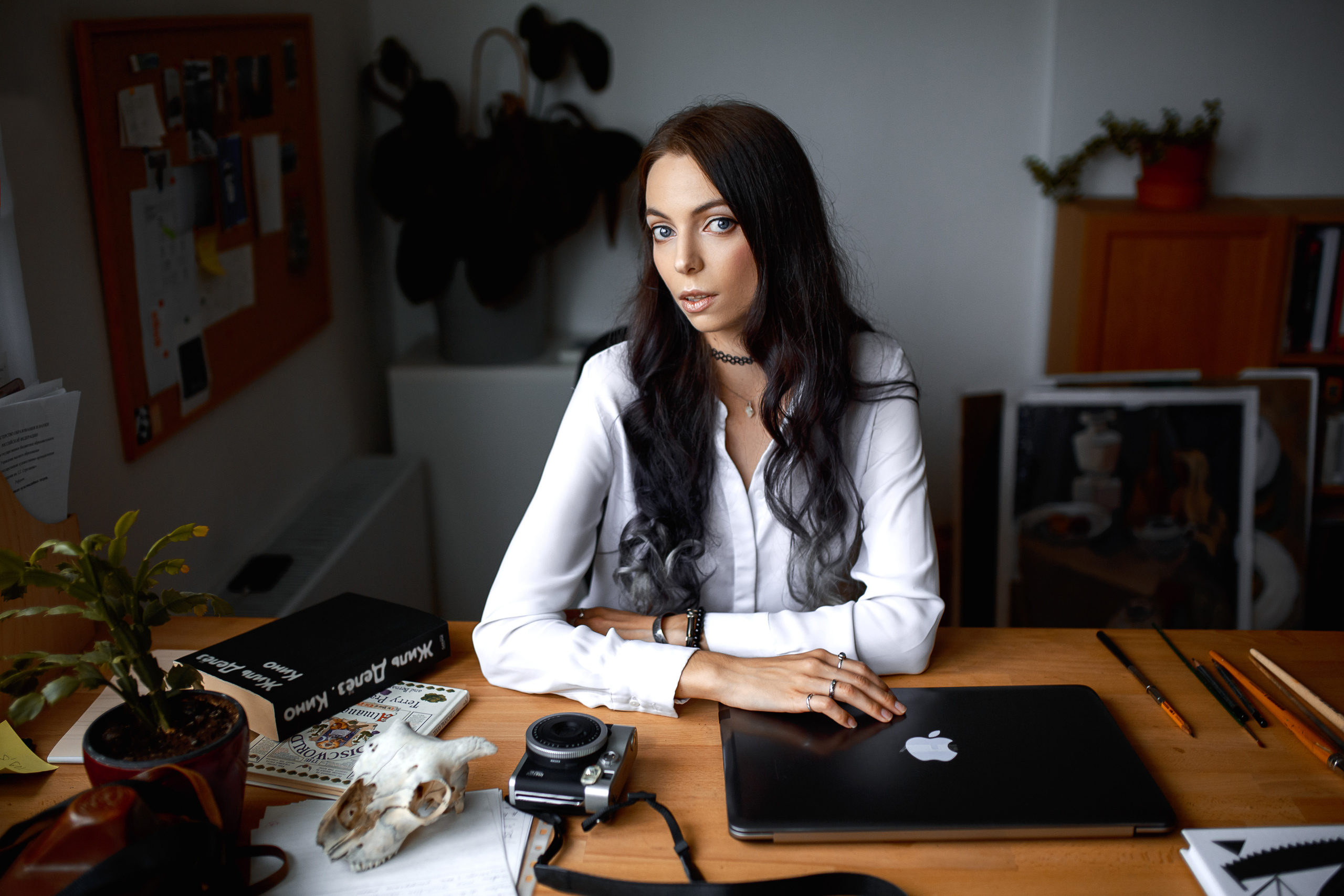 Indoor. Shredguard Photo