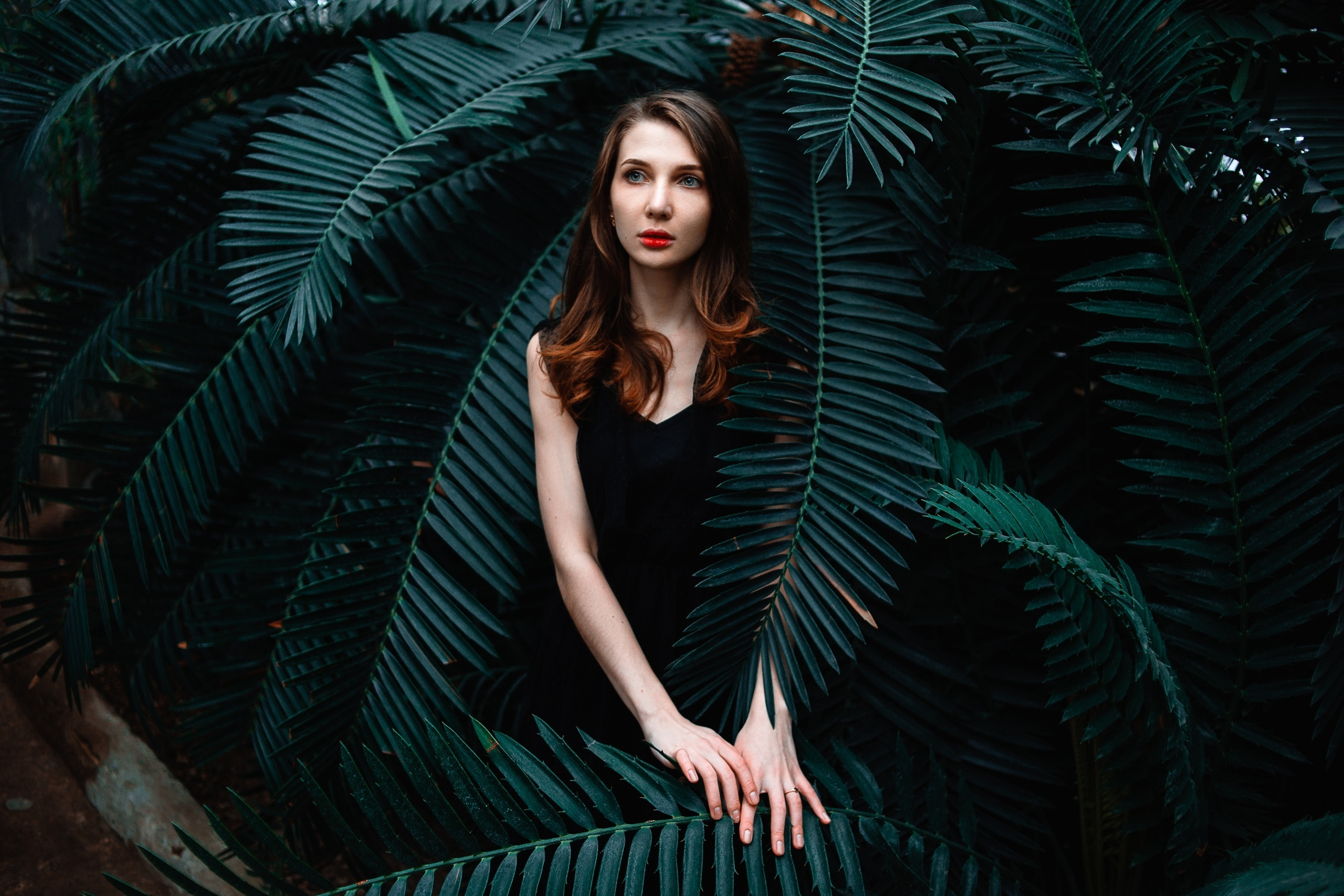 Outdoor. Shredguard Photo