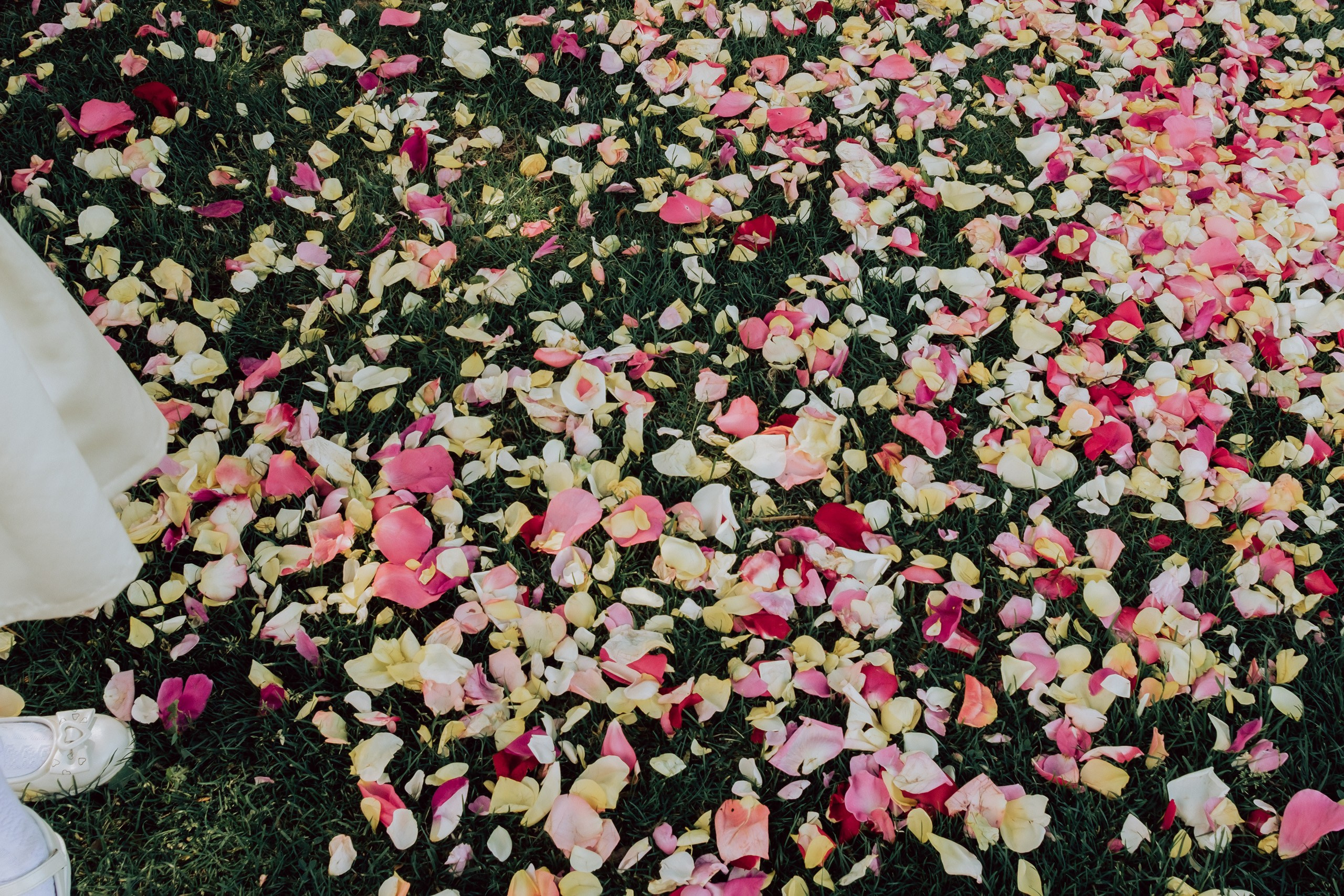 Анастасия и Денис «Одним весенним днем». Фотограф и Видеограф Анапа, Новороссийск, Краснодар. Алина и Женя