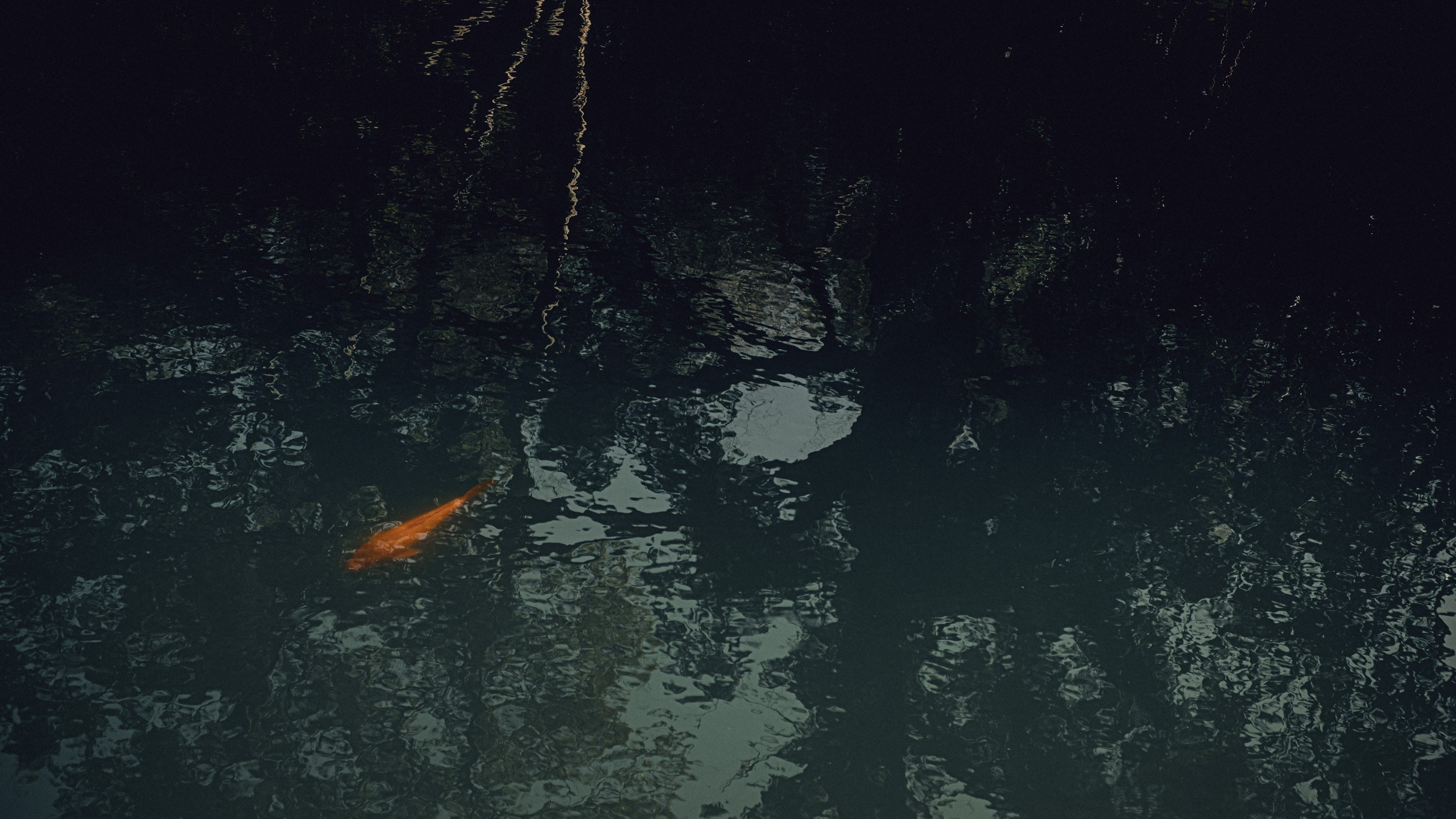 Прогулка в Сочи. Фотограф и Видеограф Анапа, Новороссийск, Краснодар. Алина и Женя