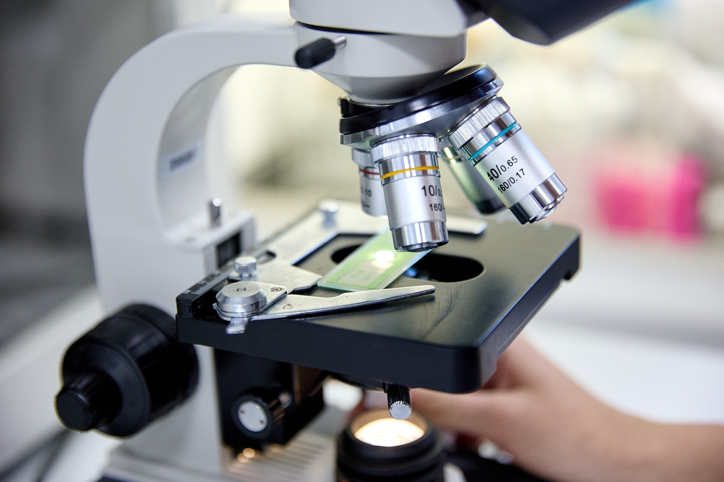 Университетские смены 2025. Репортажный и студийный фотограф во Владивостоке Дударева Софья