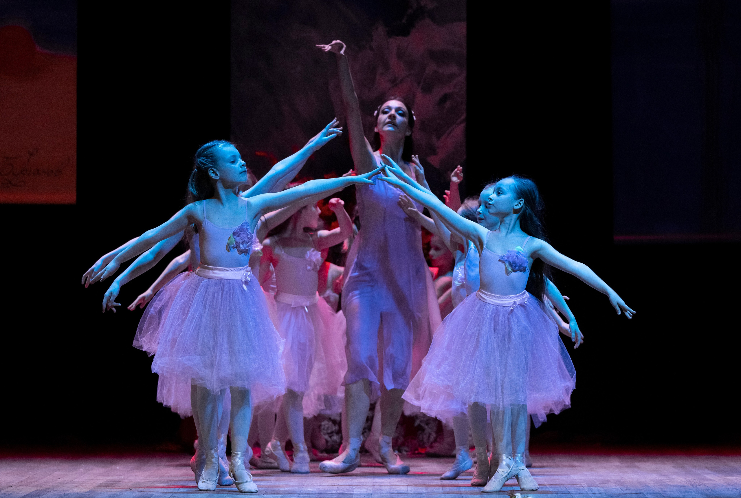 Сон в летнюю ночь, частный проект. Балетный фотограф Москва Майоров Николай